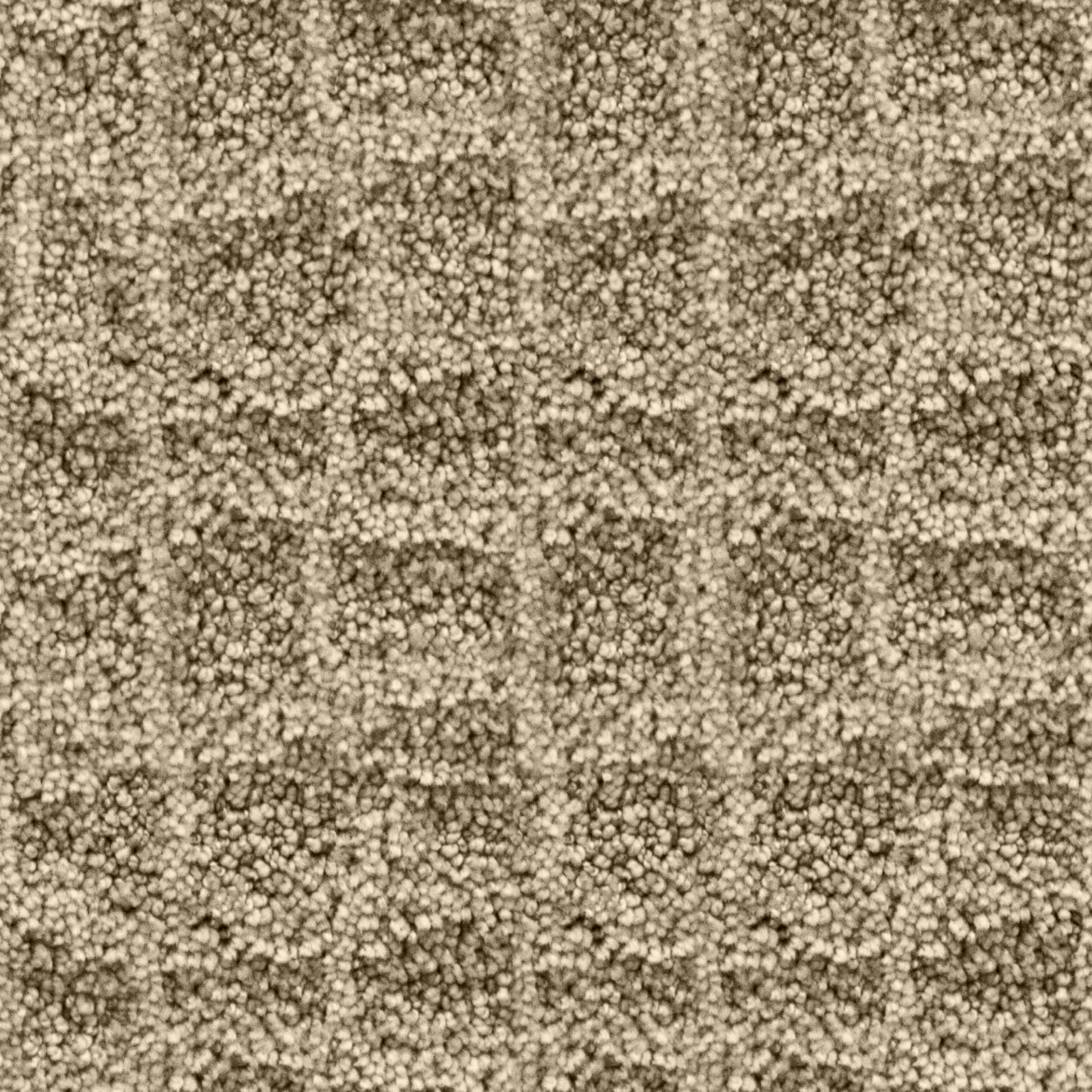 Fawn Squares Carpet.jpg