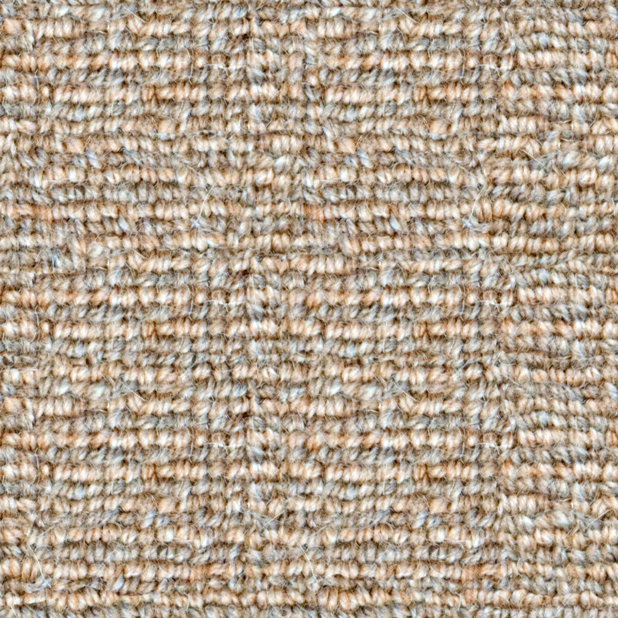 Embargo Dots Carpet.jpg