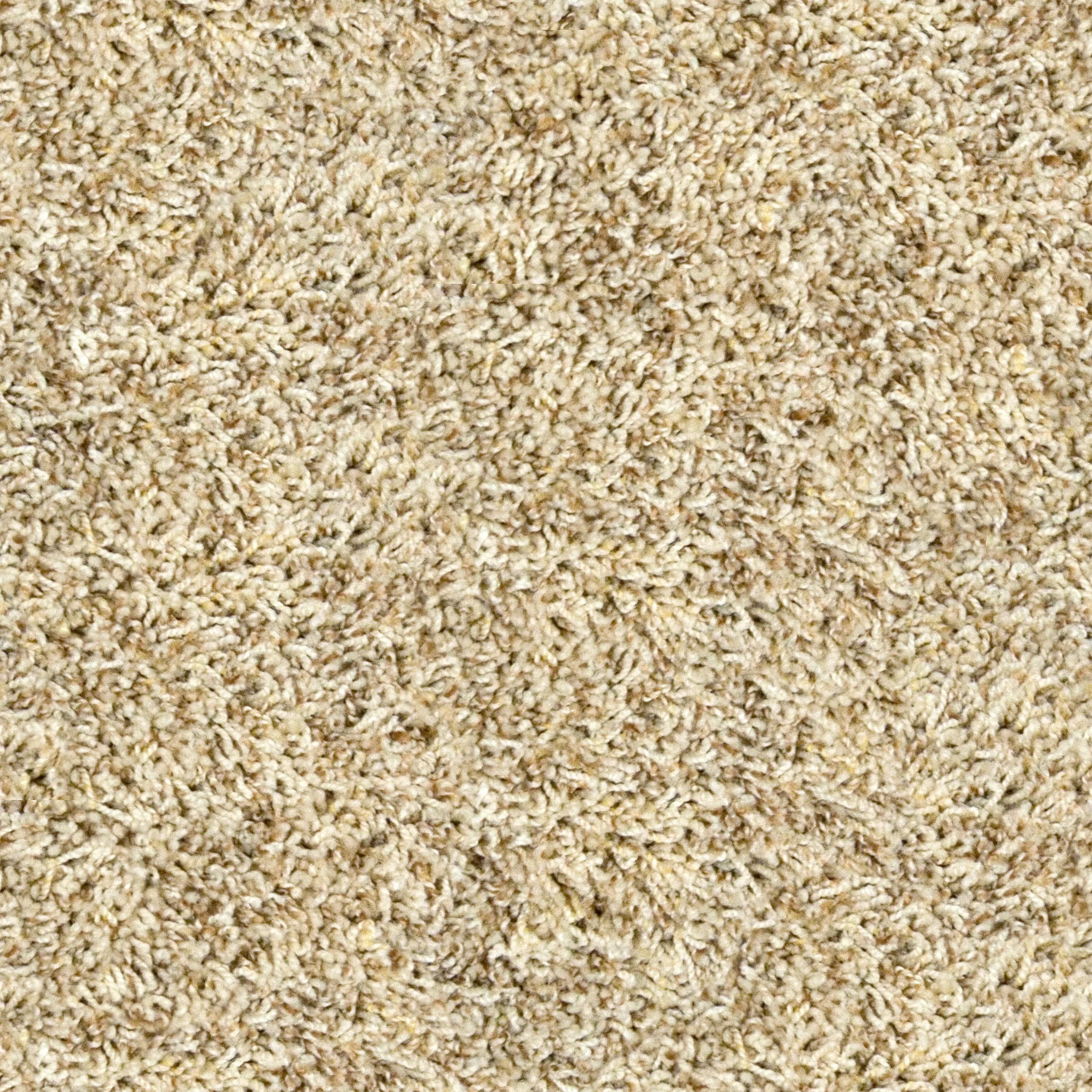 Grimy Fawn Carpet.jpg