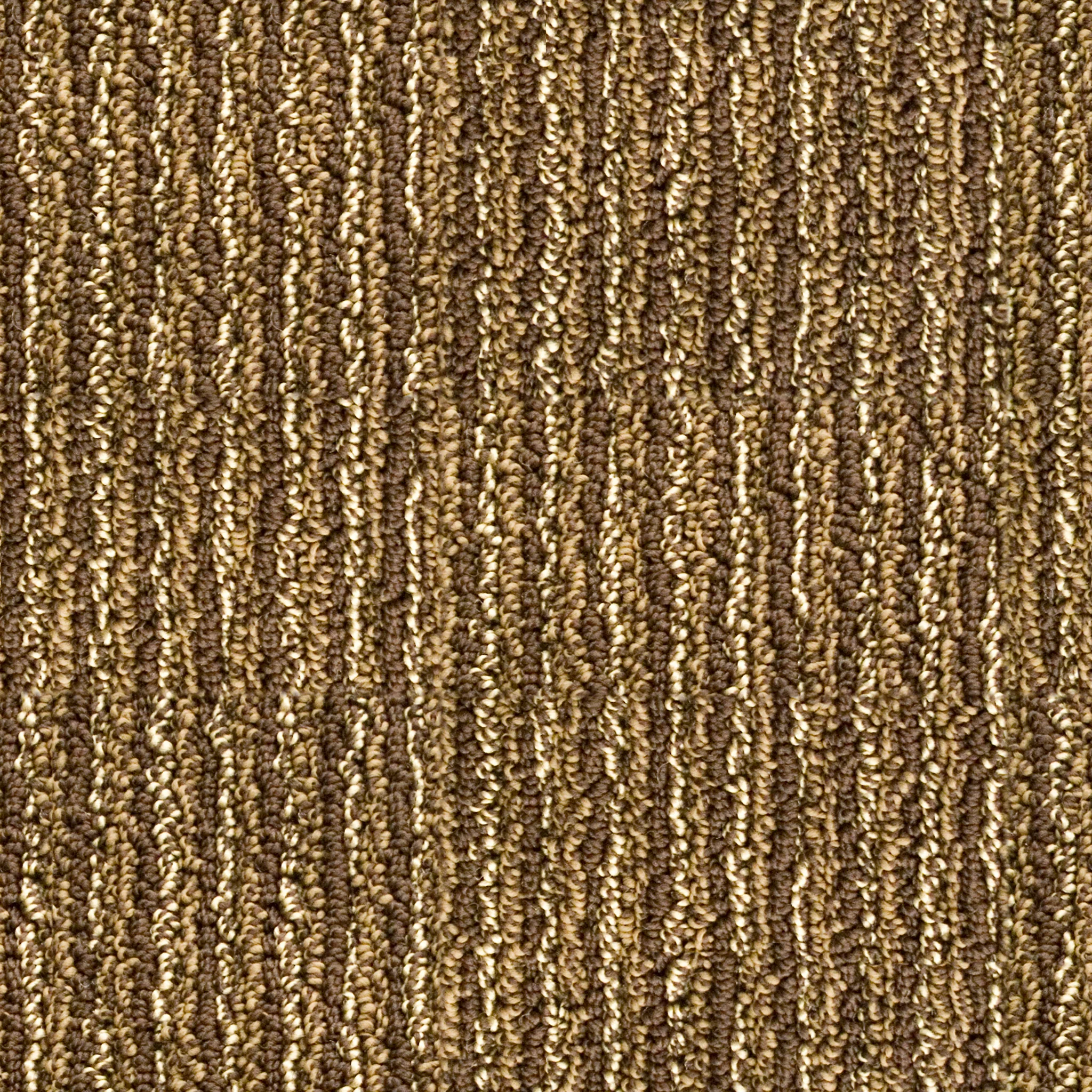 Brown Striped Carpet .jpg