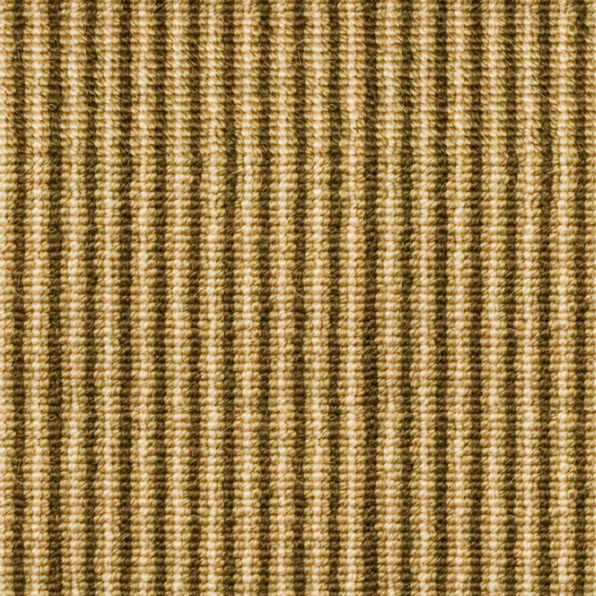 Coco Striped Carpet.jpg