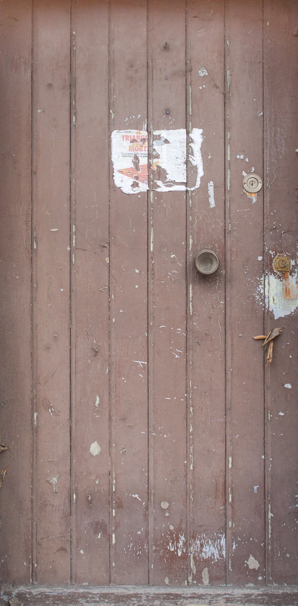 Antique Copper Door.jpg