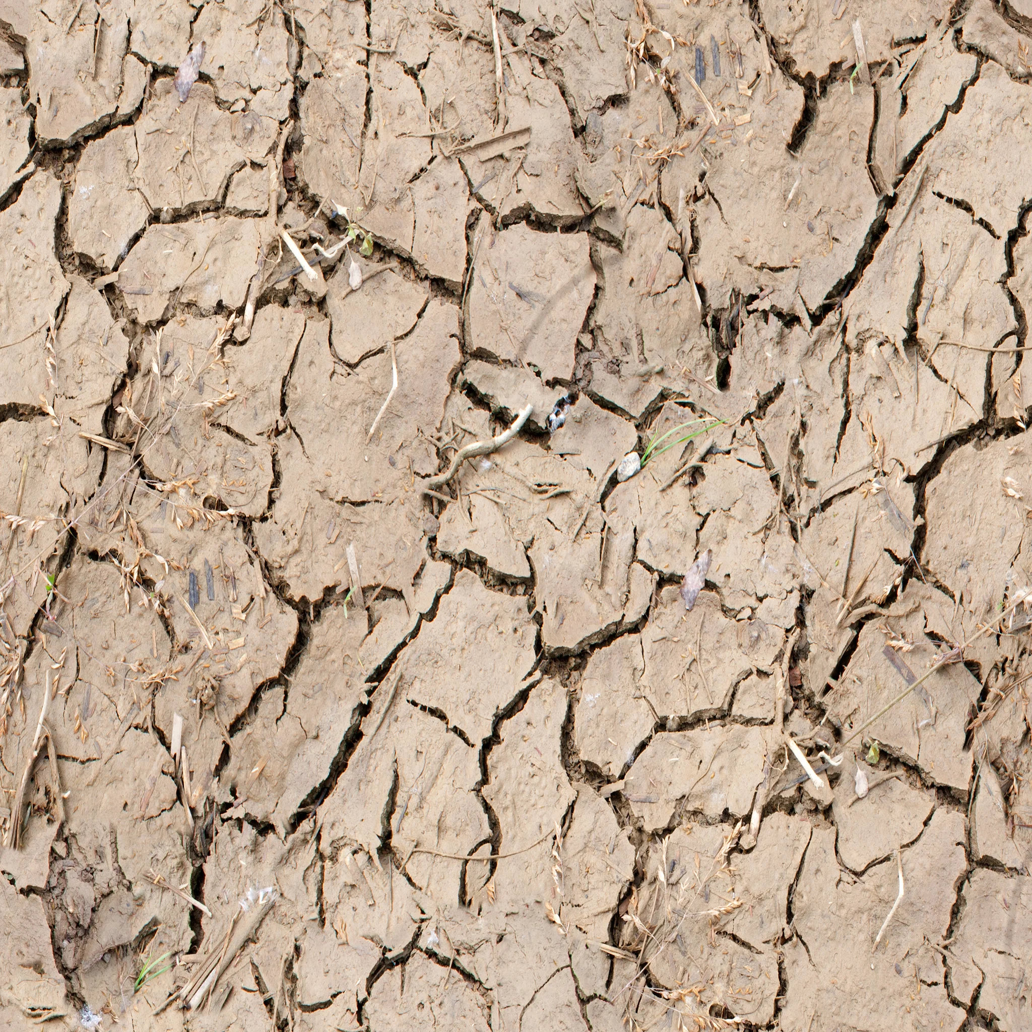 cracked-mud.jpg