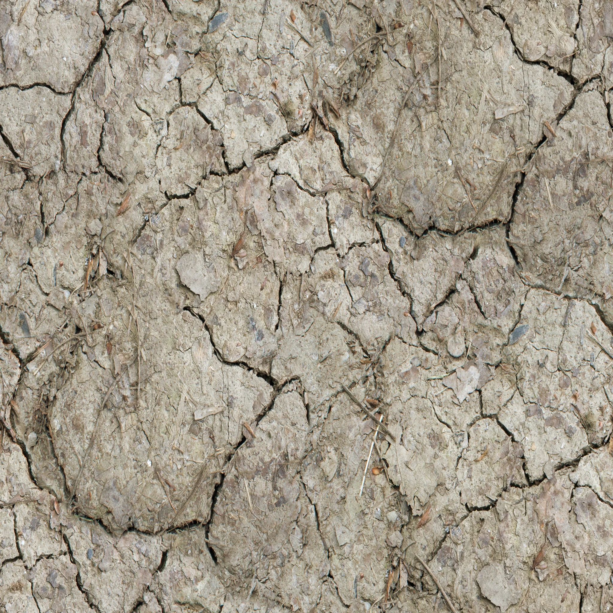 dry-mud-with-twigs.jpg