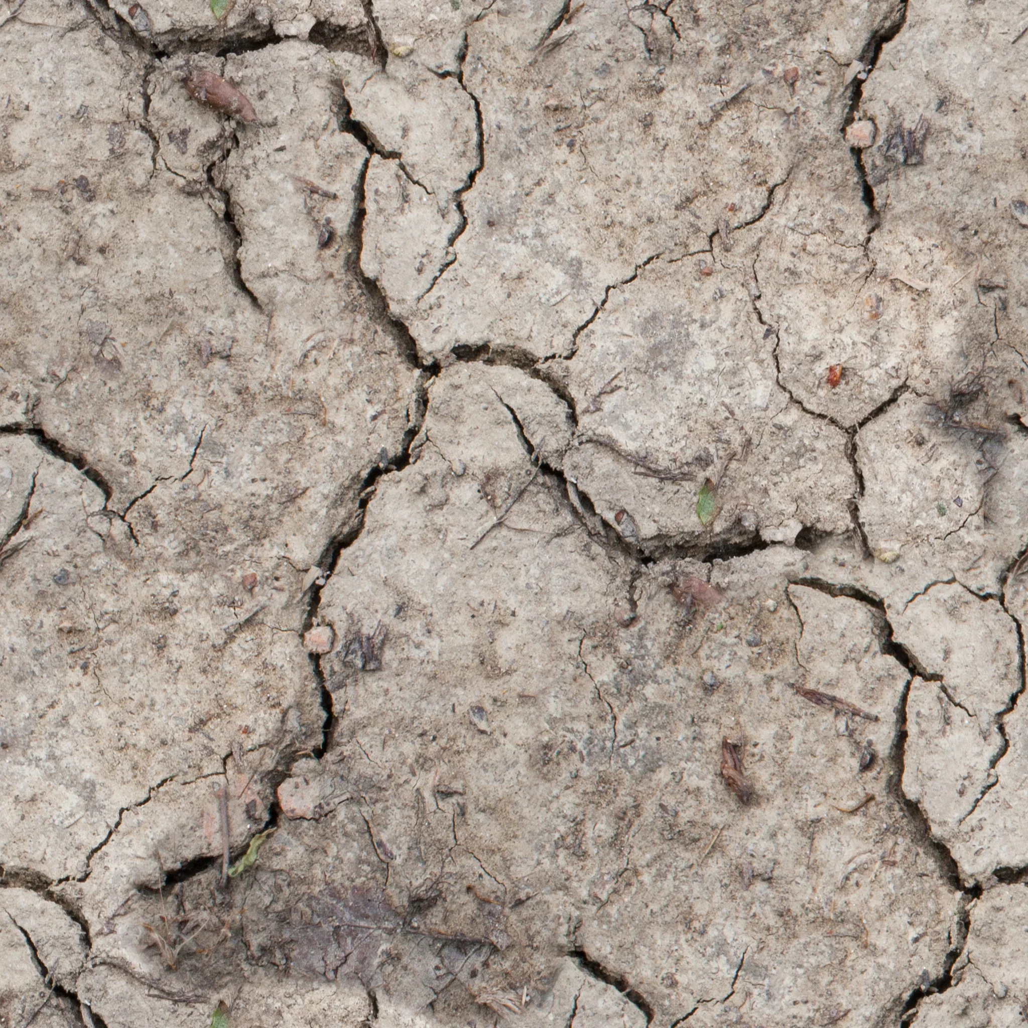 dry-mud.jpg