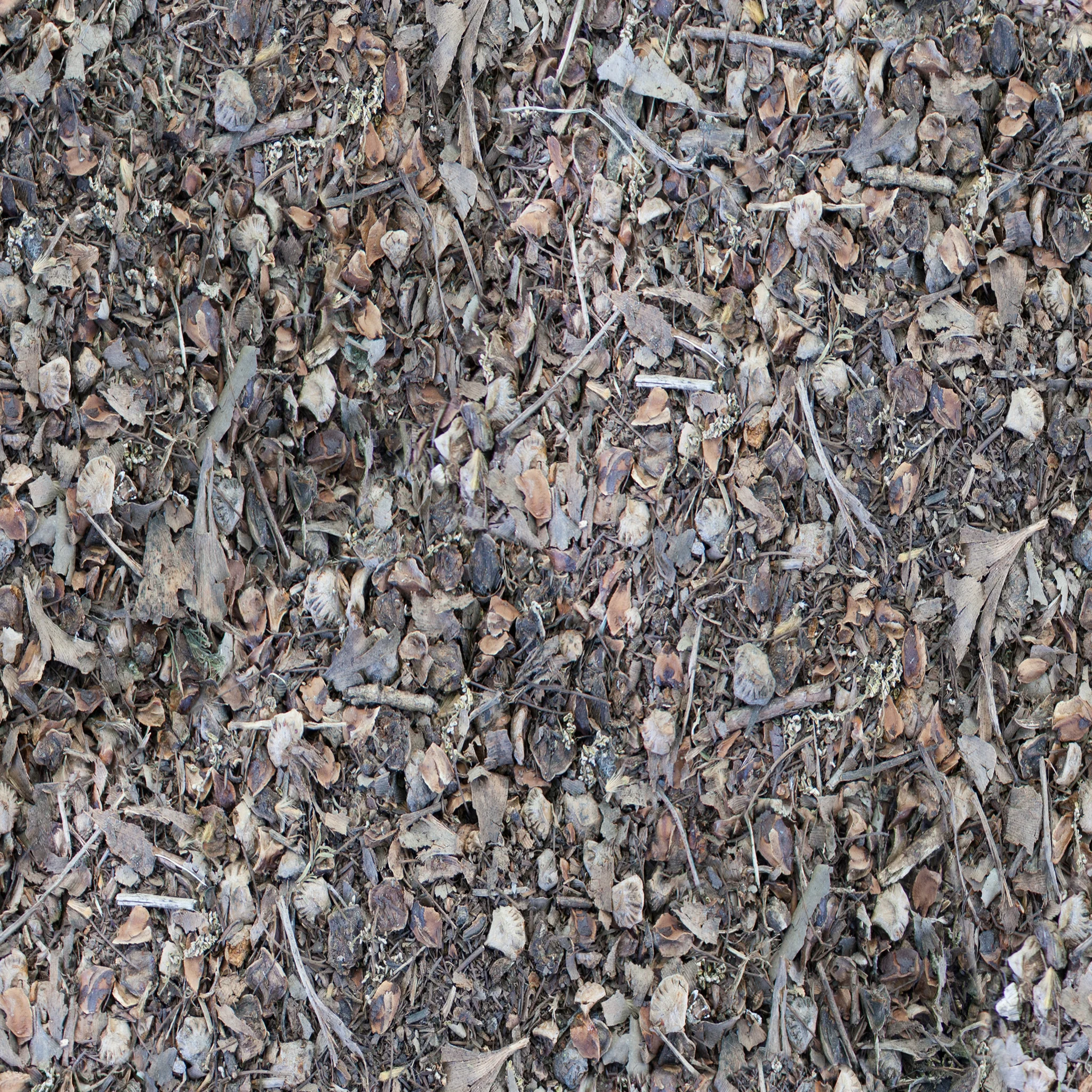 pebbles-and-twigs.jpg