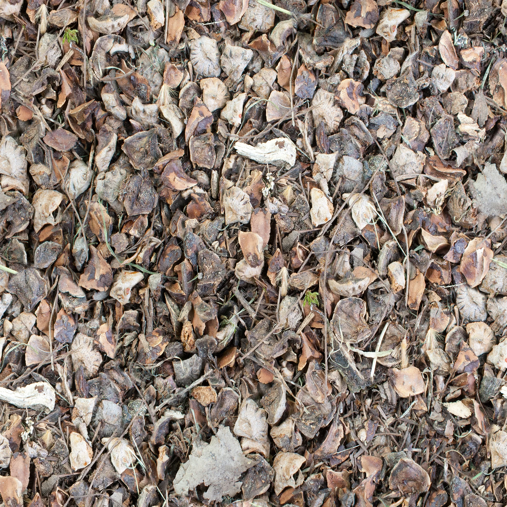 gravel-with-twigs.jpg