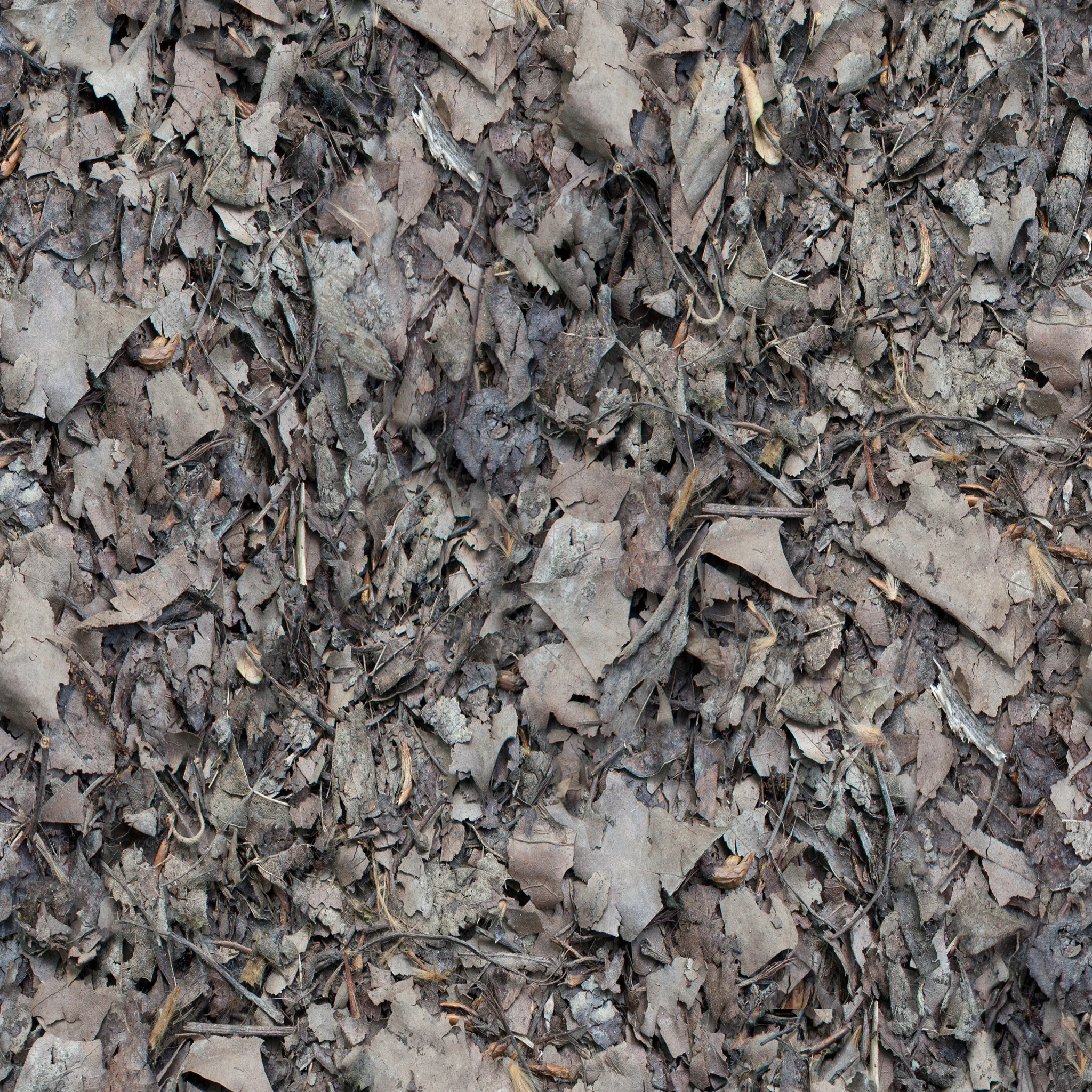 dark-brown-leaves.jpg