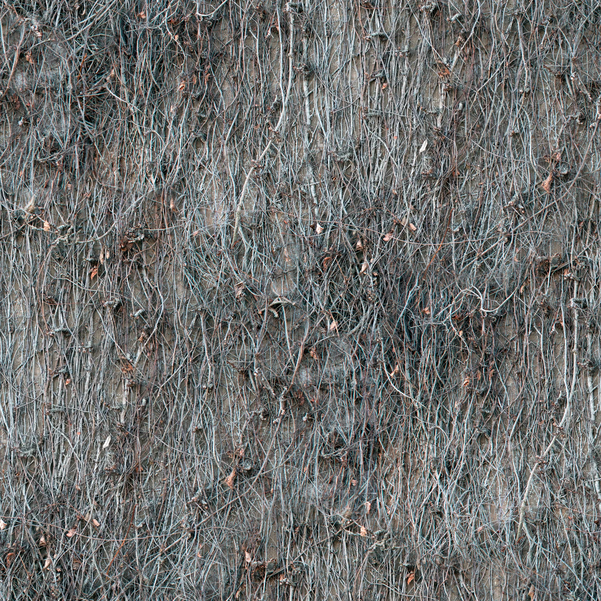 exposed-root-cover.jpg