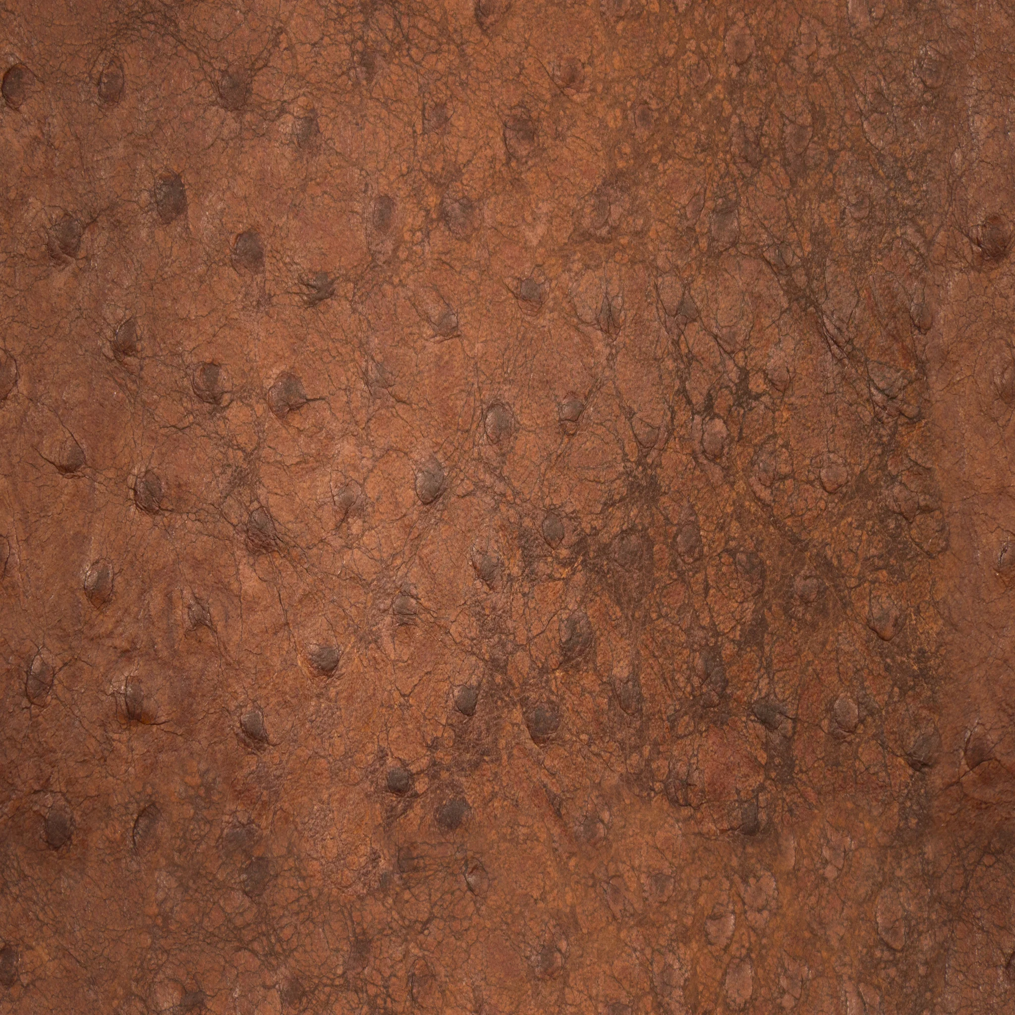 Antique Brown Leather.jpg