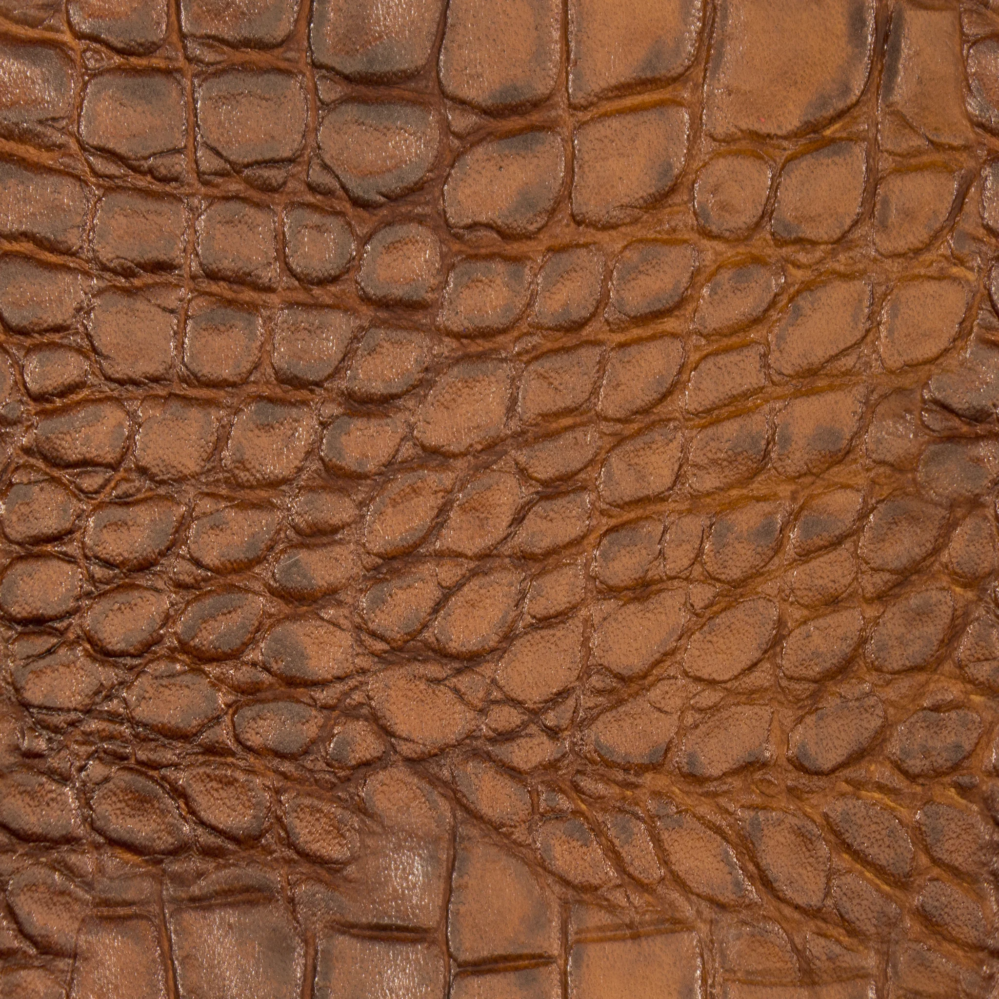 Croc Caramel Leather.jpg