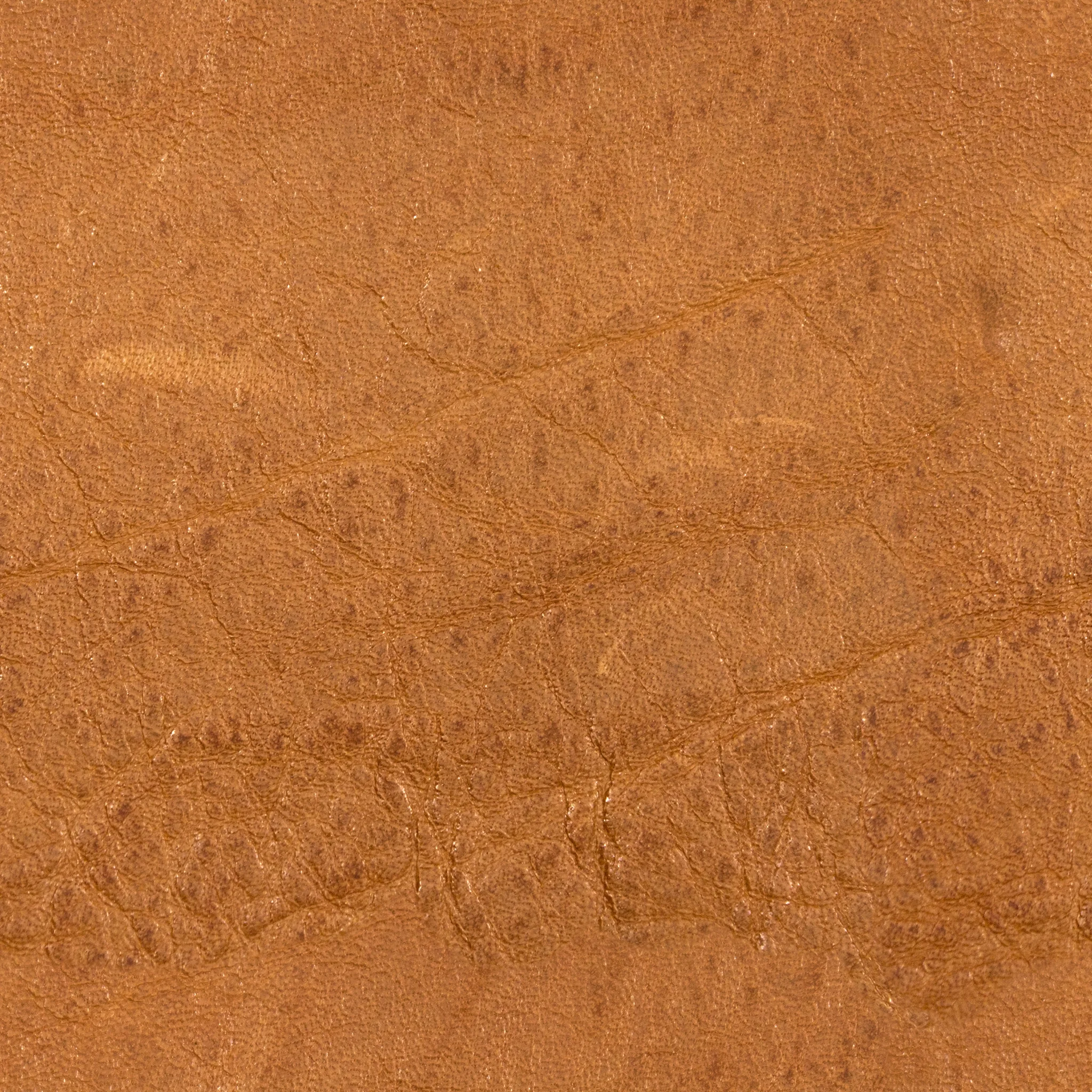 Bright Brown Aniline Leather.jpg