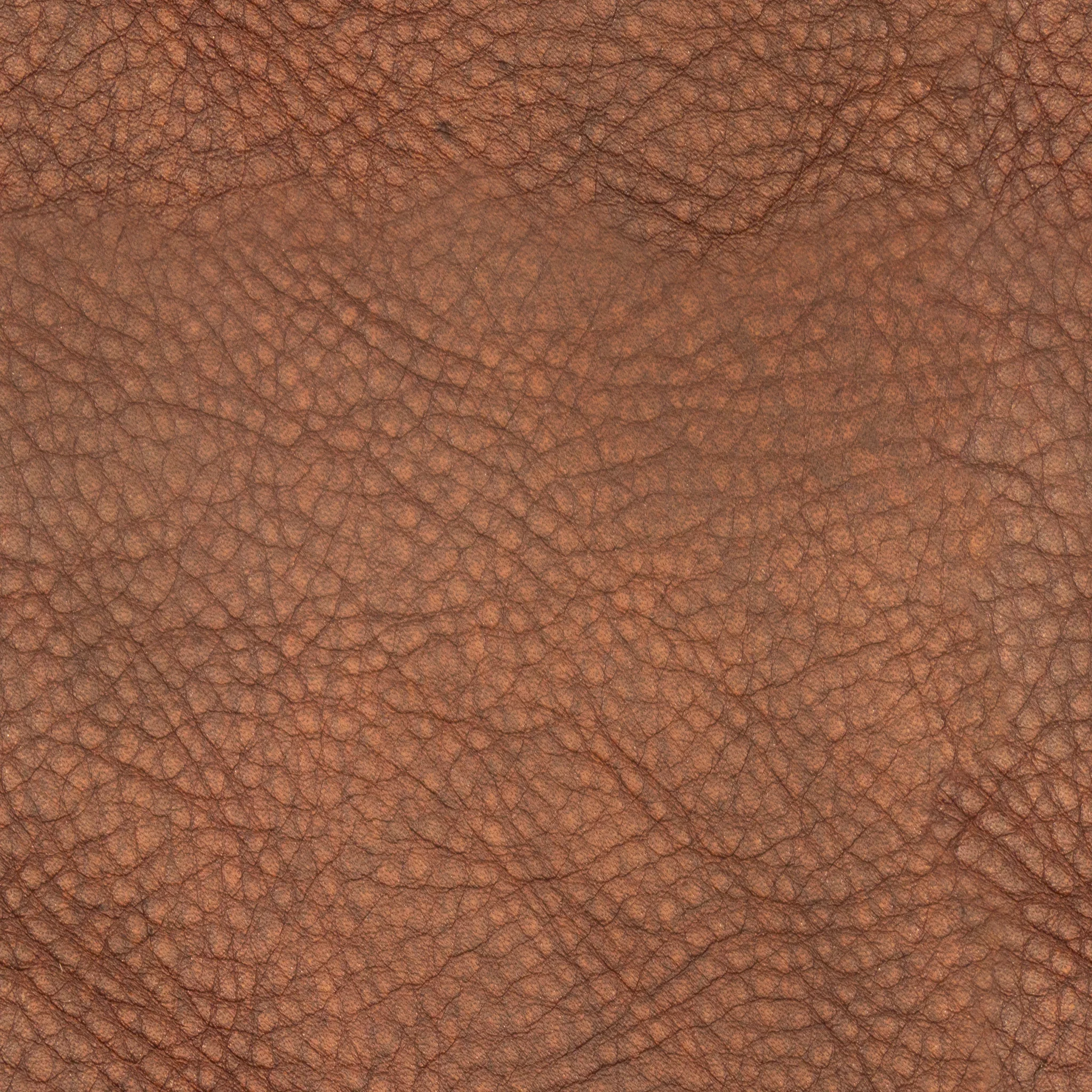 Auburn Rough Leather.jpg