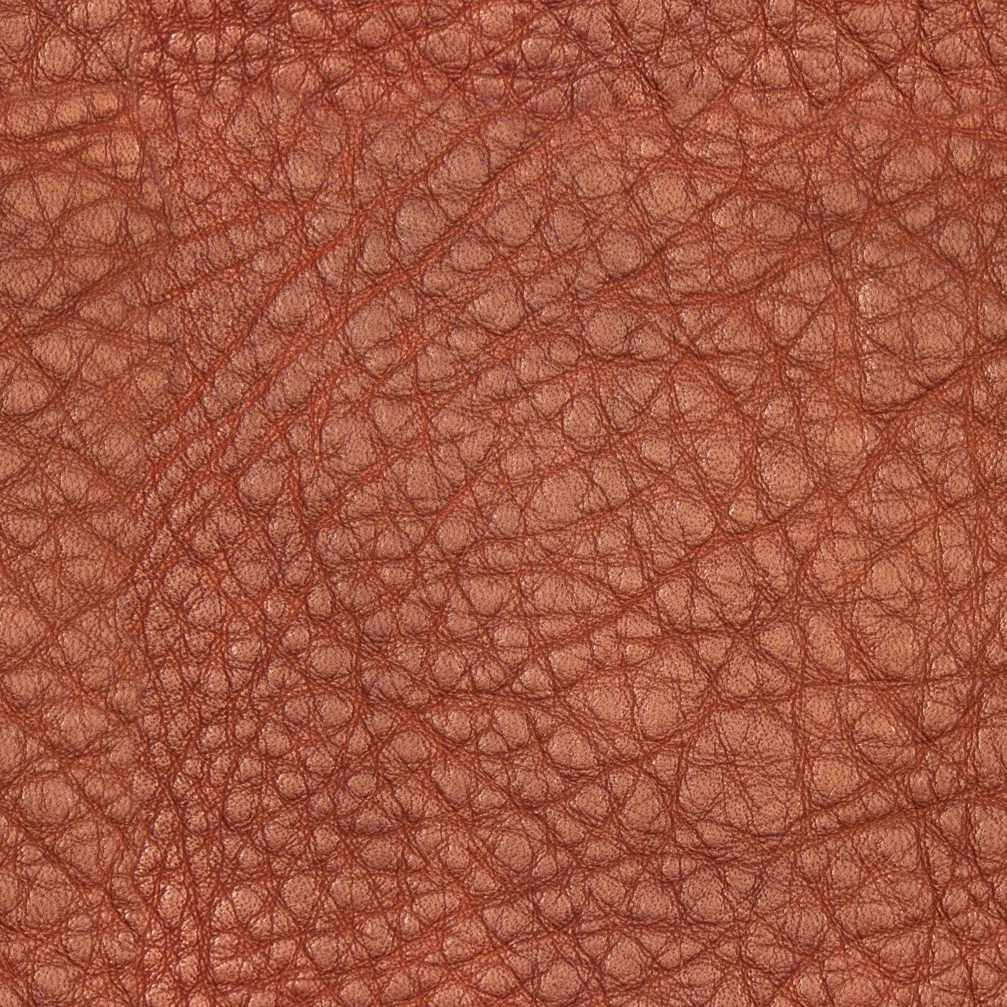 Brown Red Leather.jpg