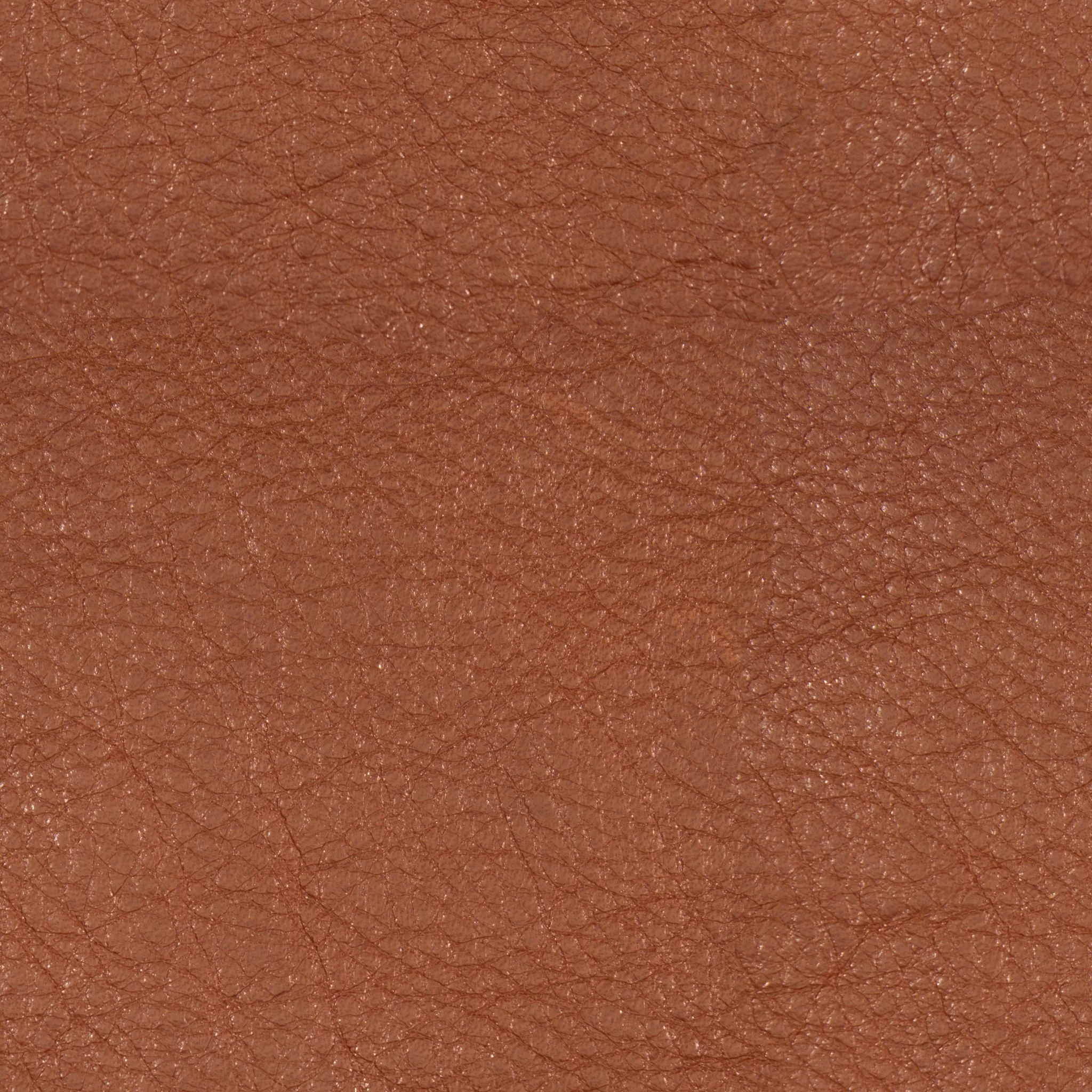 Burnt Umber Leather.jpg
