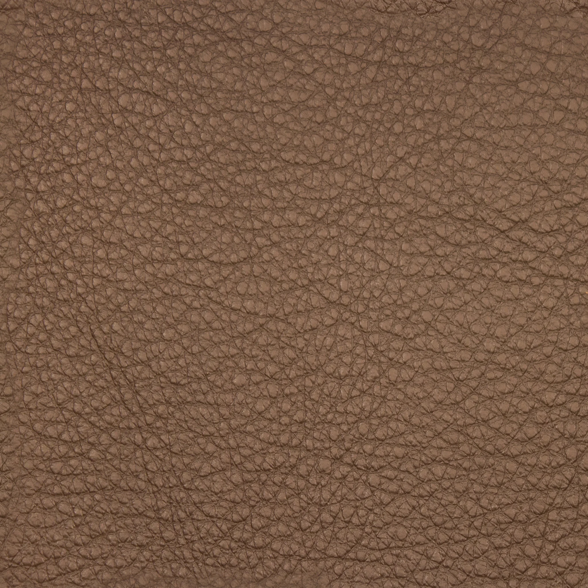 Burnt Coco Leather.jpg