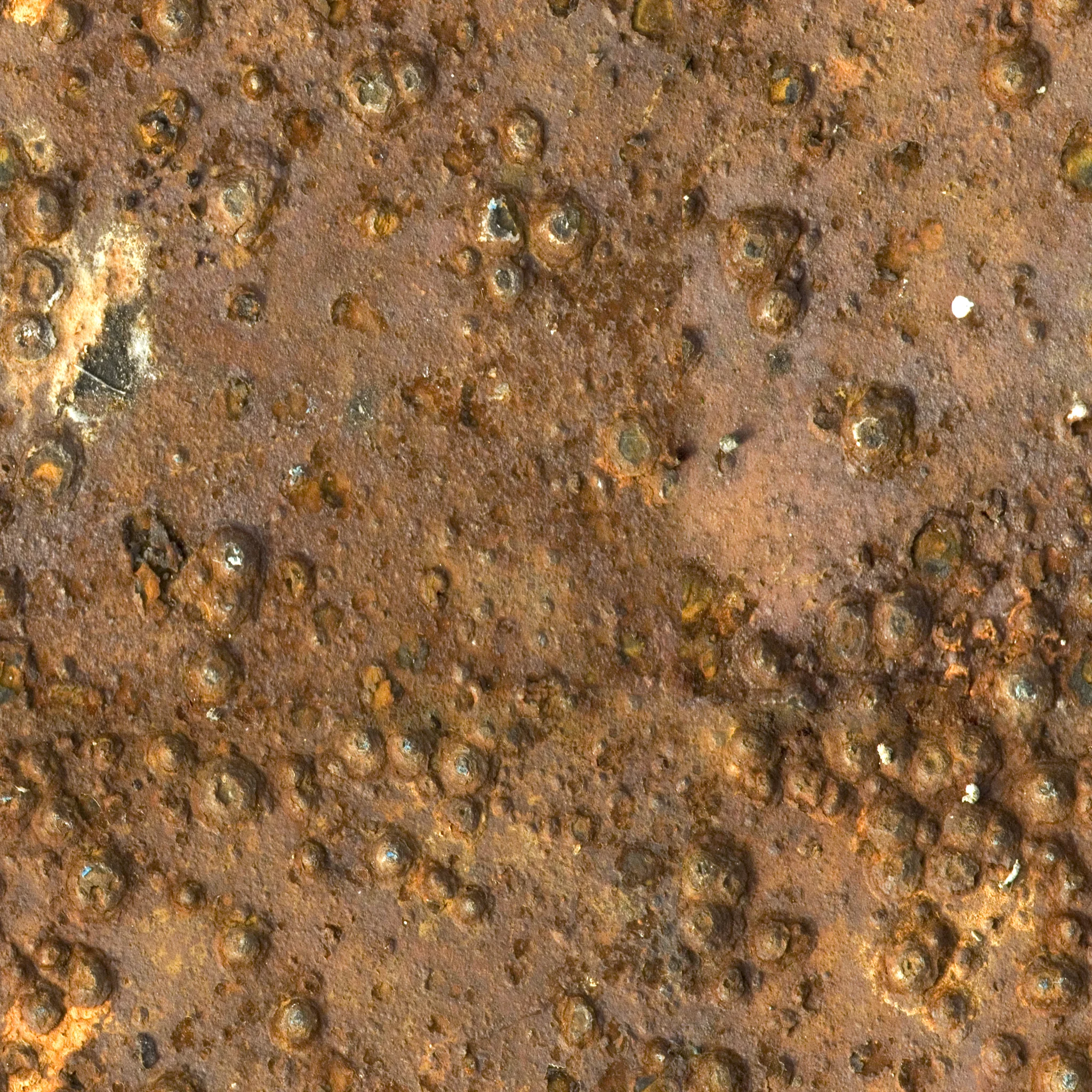 Barnacle Covered Rust.jpg