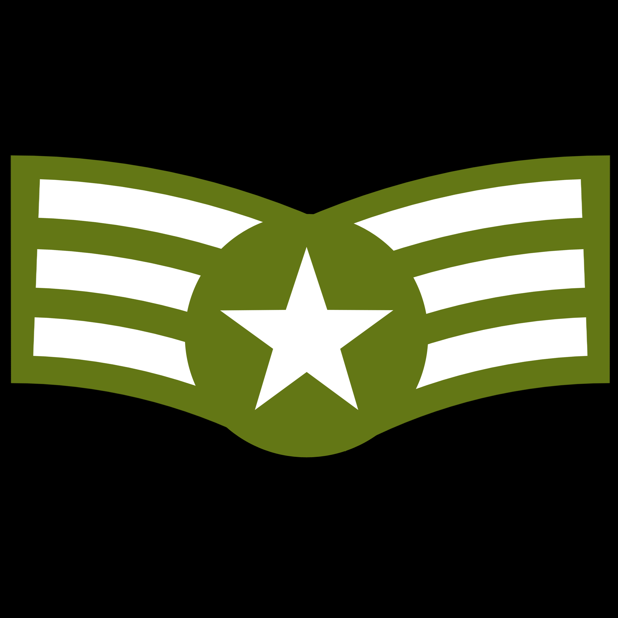 Army Stripes with Star.png