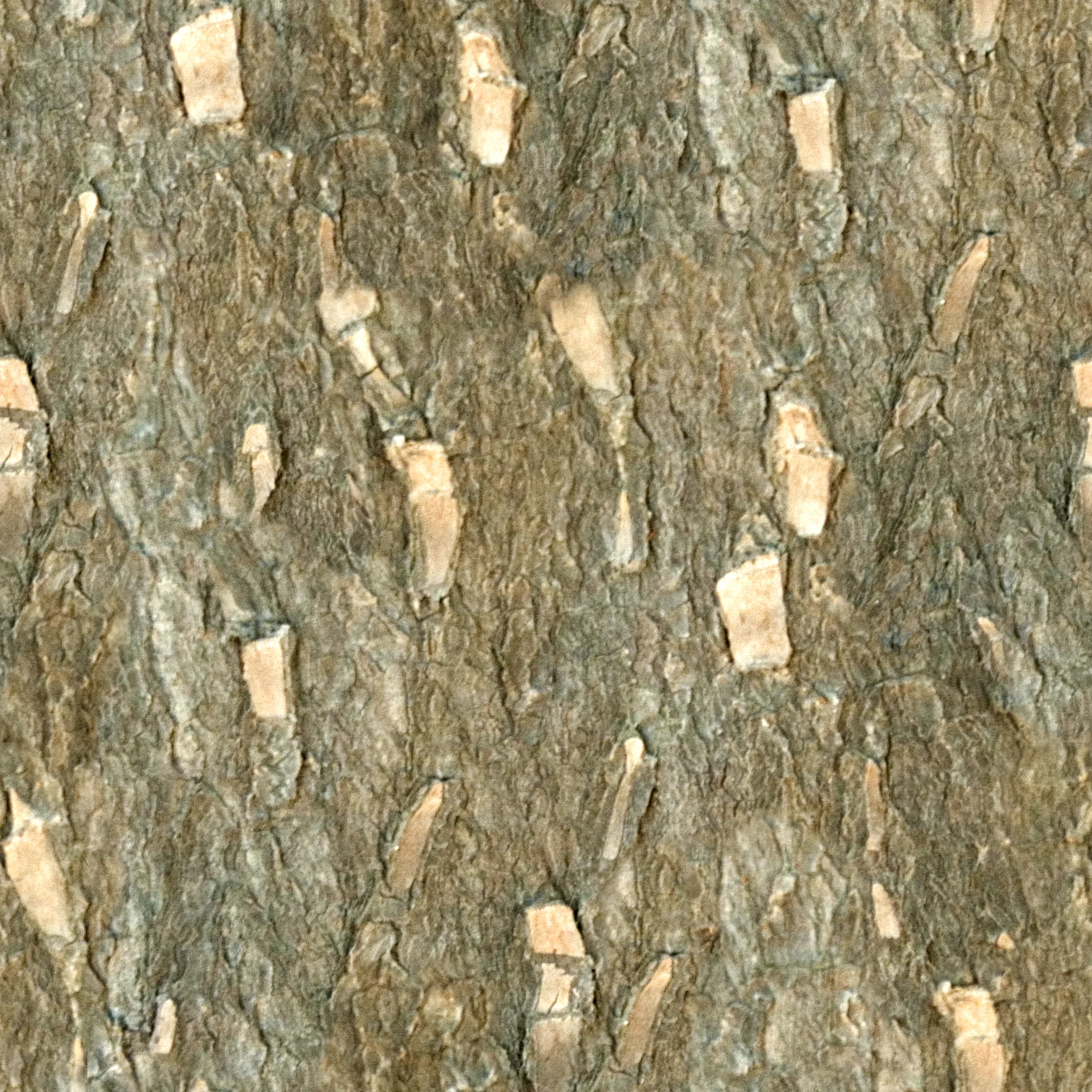 Brown and White Bark.jpg