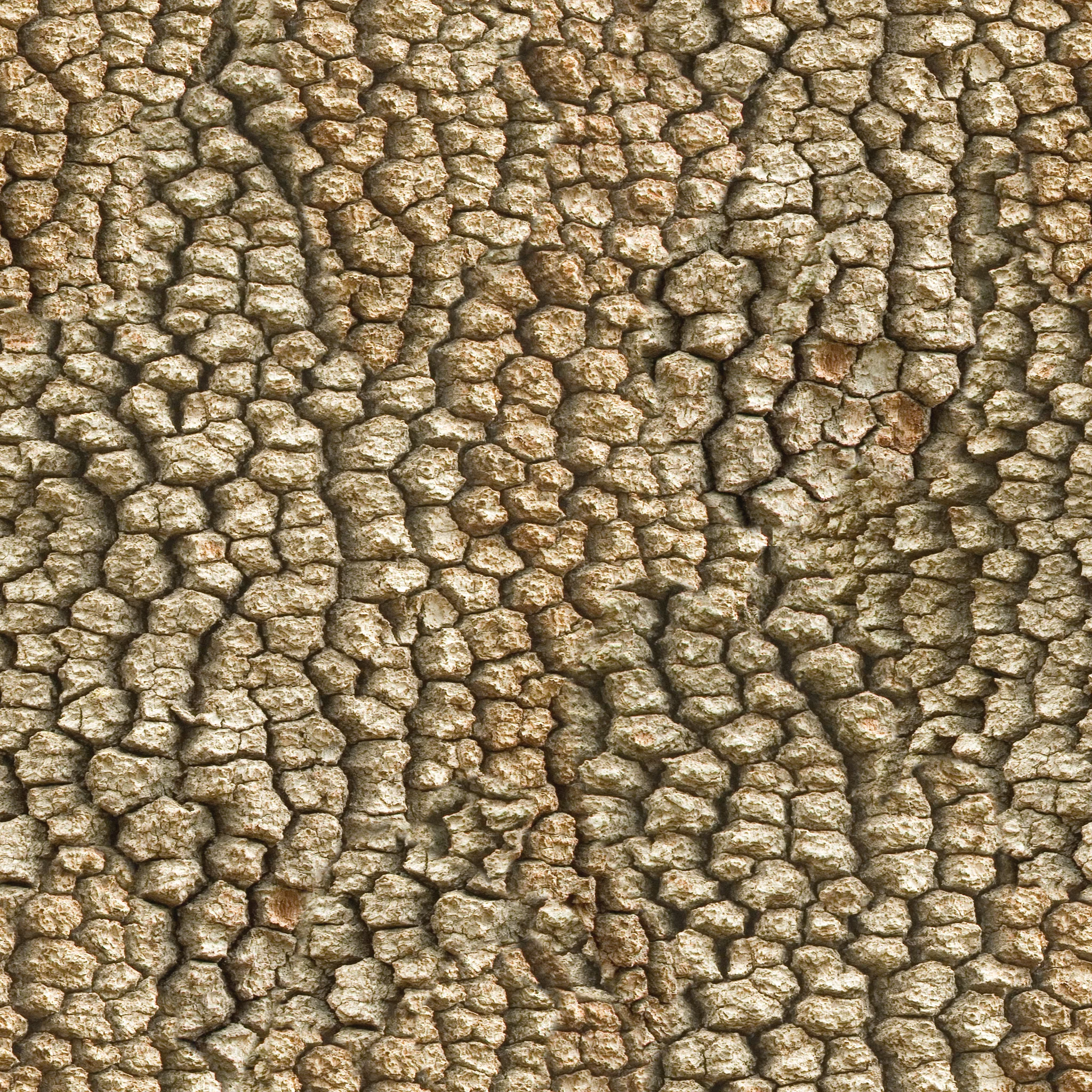 Brown Beaded Bark.jpg