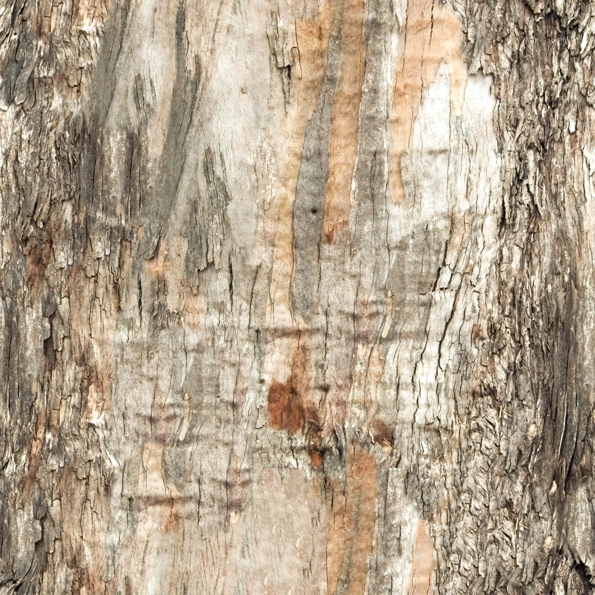 Brown Damaged Bark.jpg