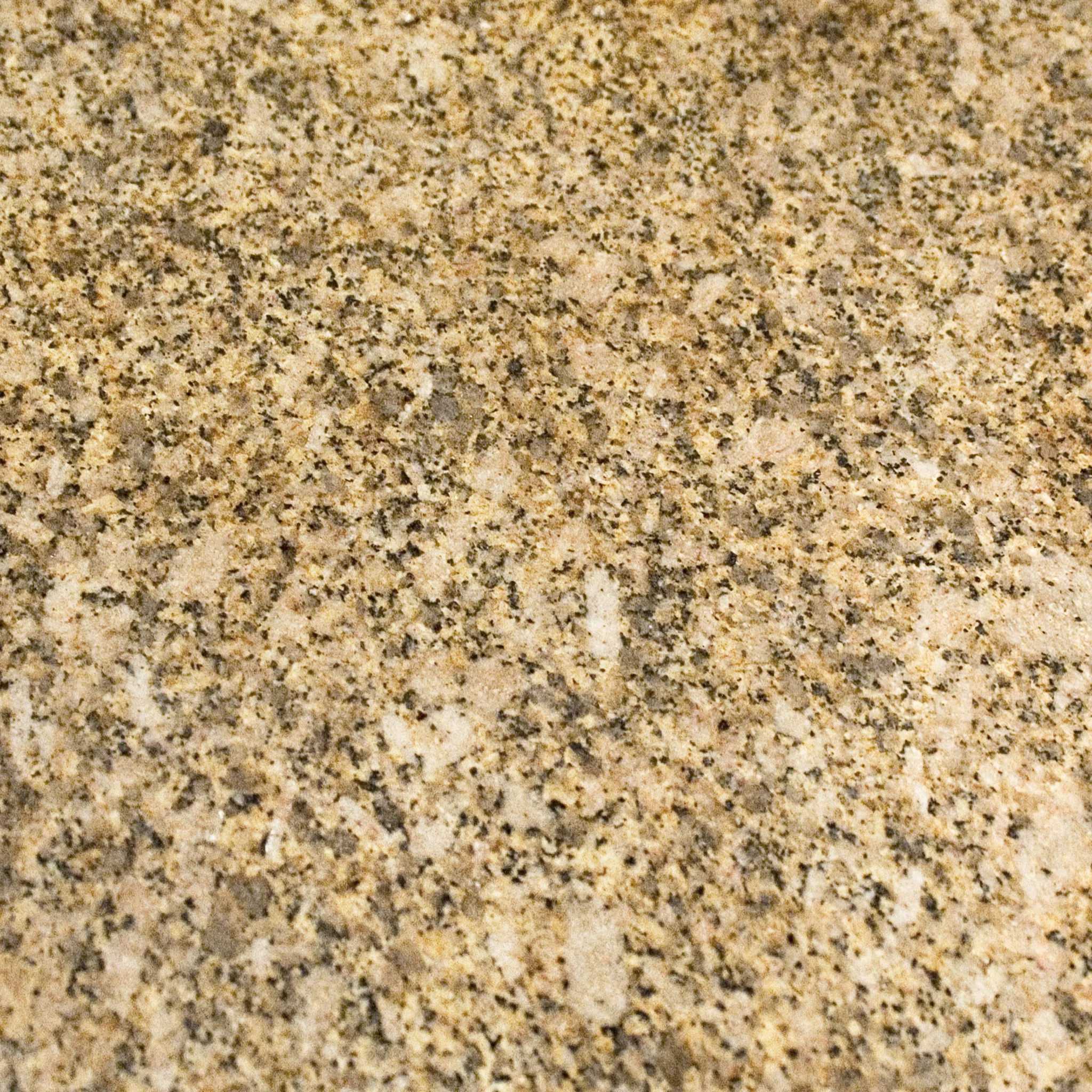 Bubbly Rose Beige Rock.jpg