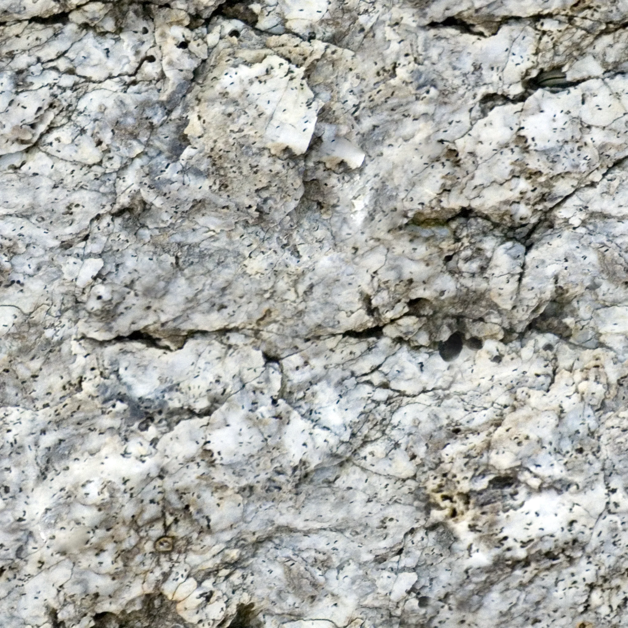 Aged Crinkled White Rock.jpg