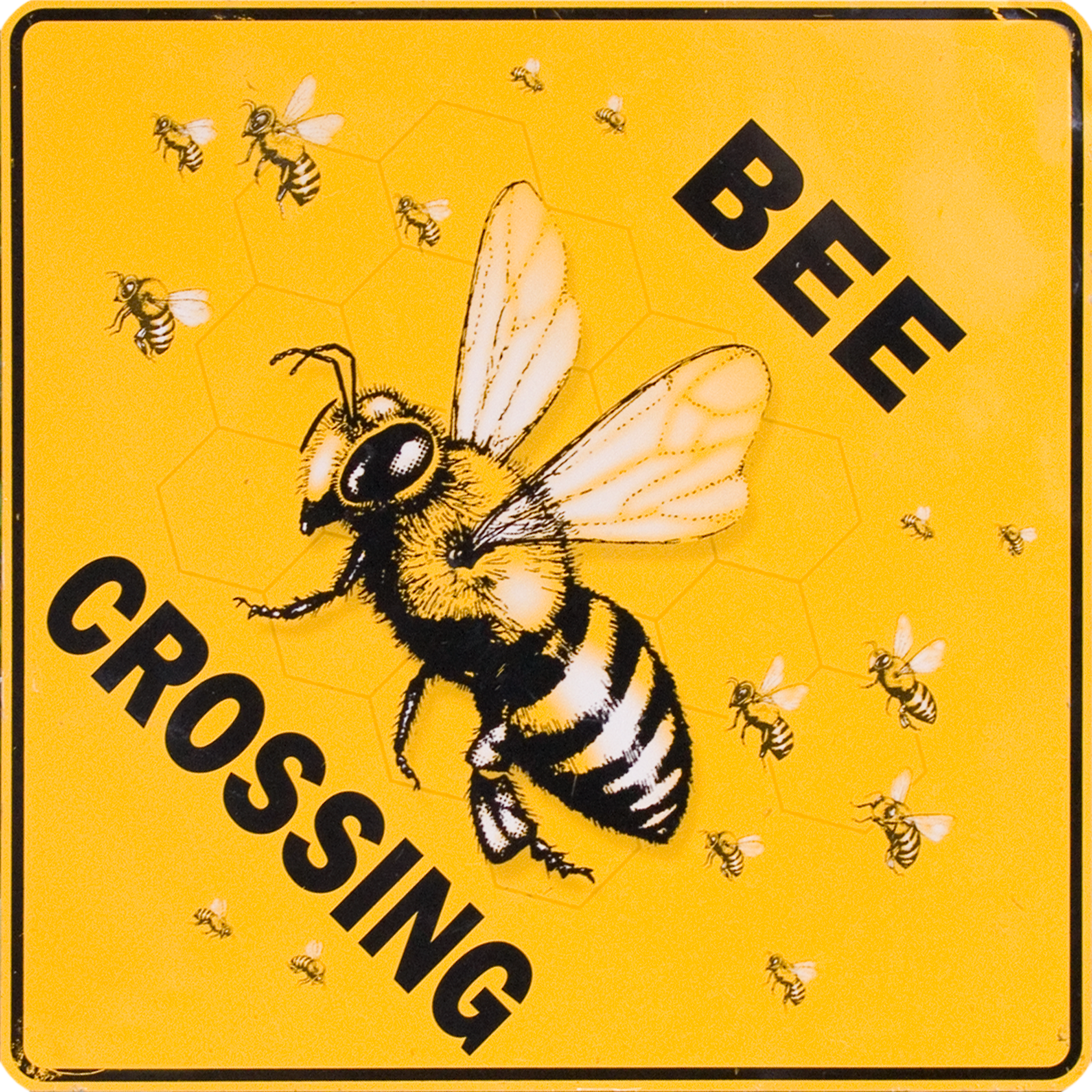 Bee Crossing.png