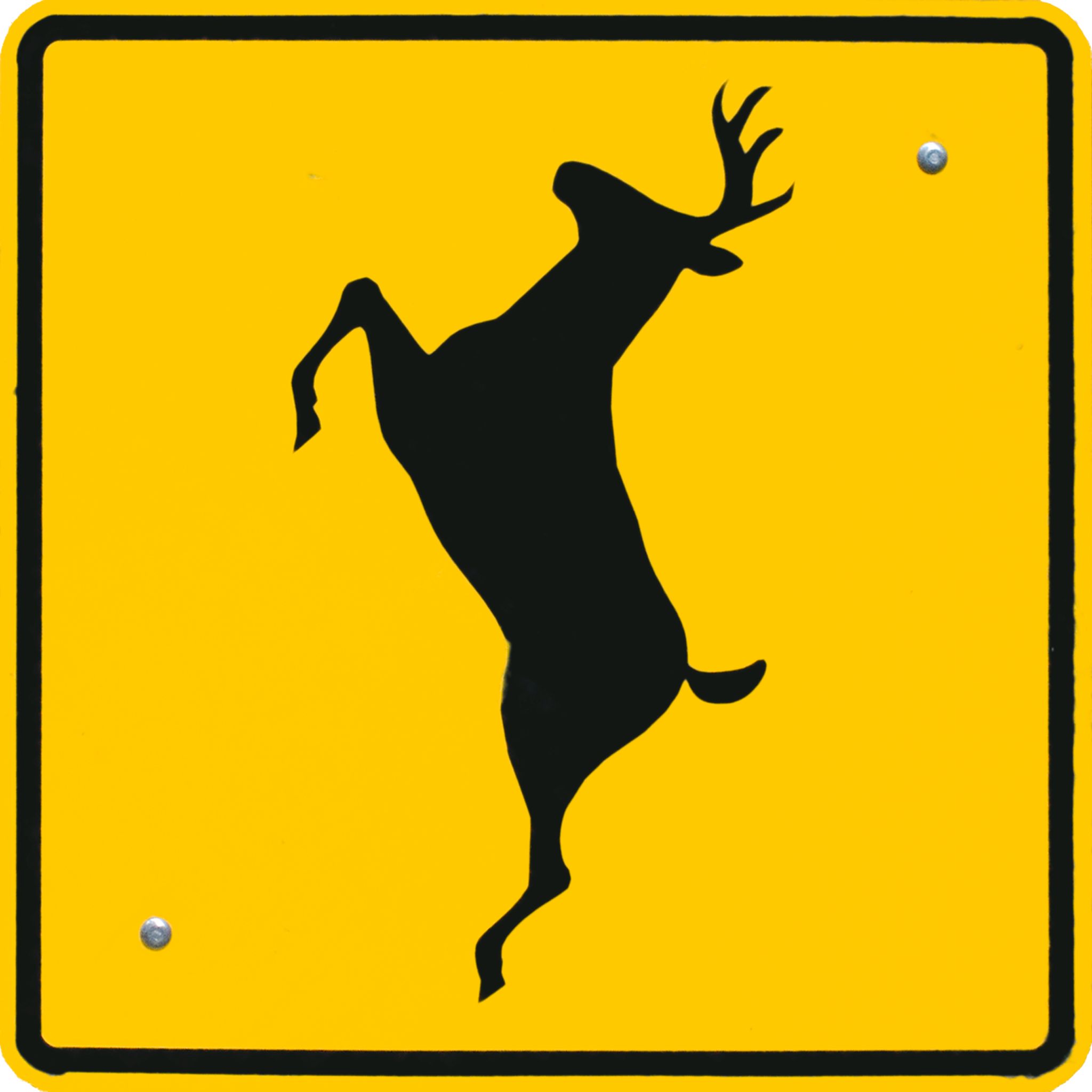 Deer Crossing.png