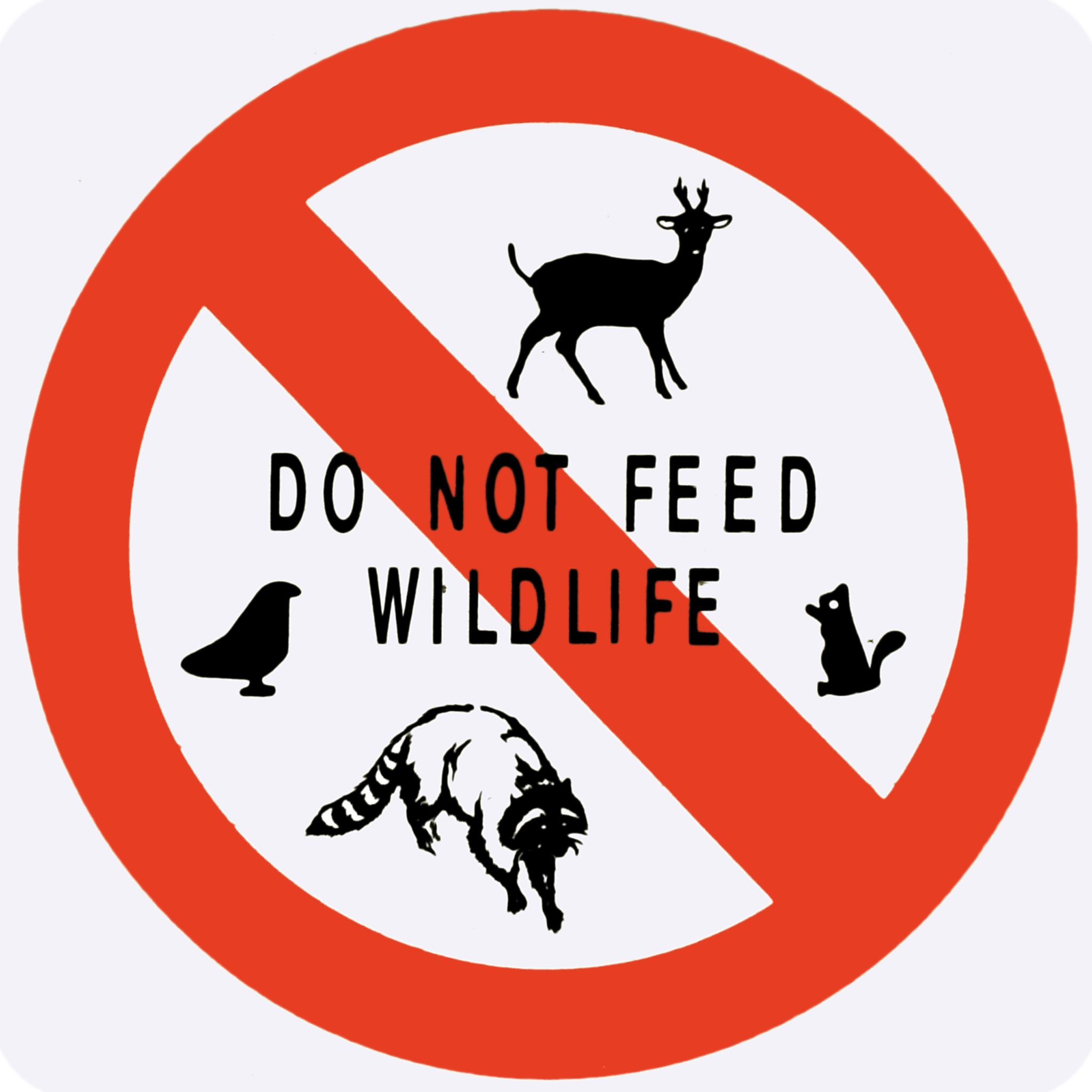 Do Not Feed Wildlife.png