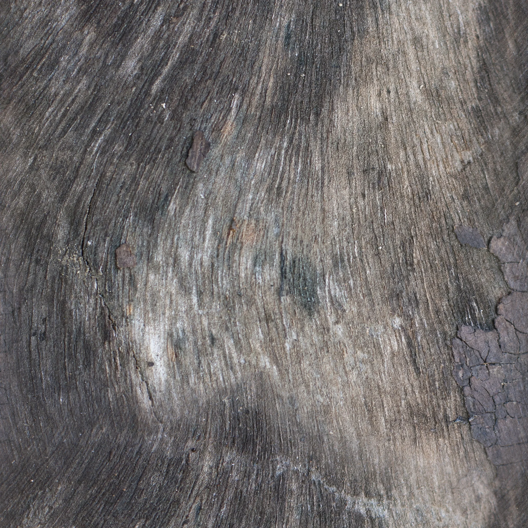 Asian Hair Wood.jpg