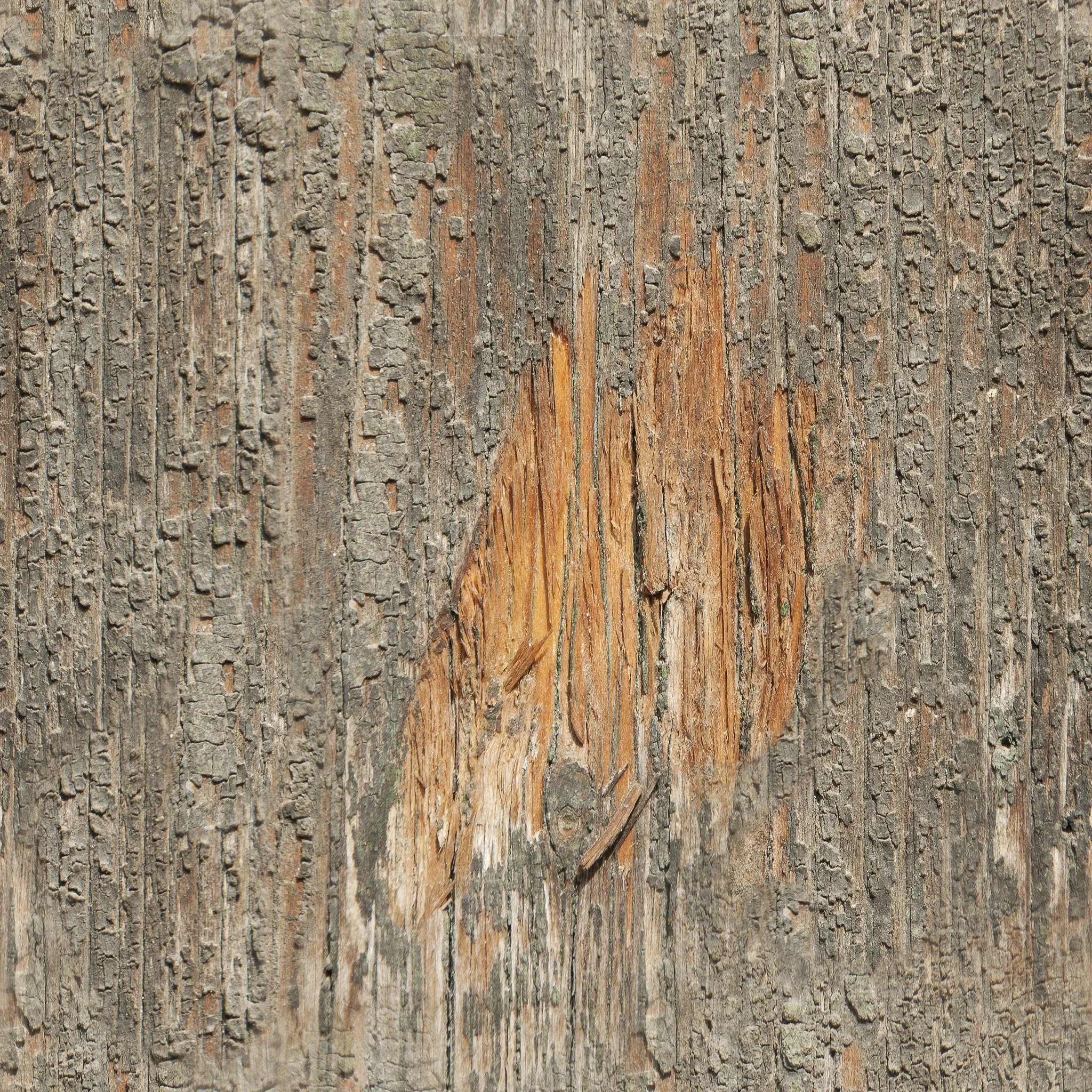 Aged Oak Wood.jpg