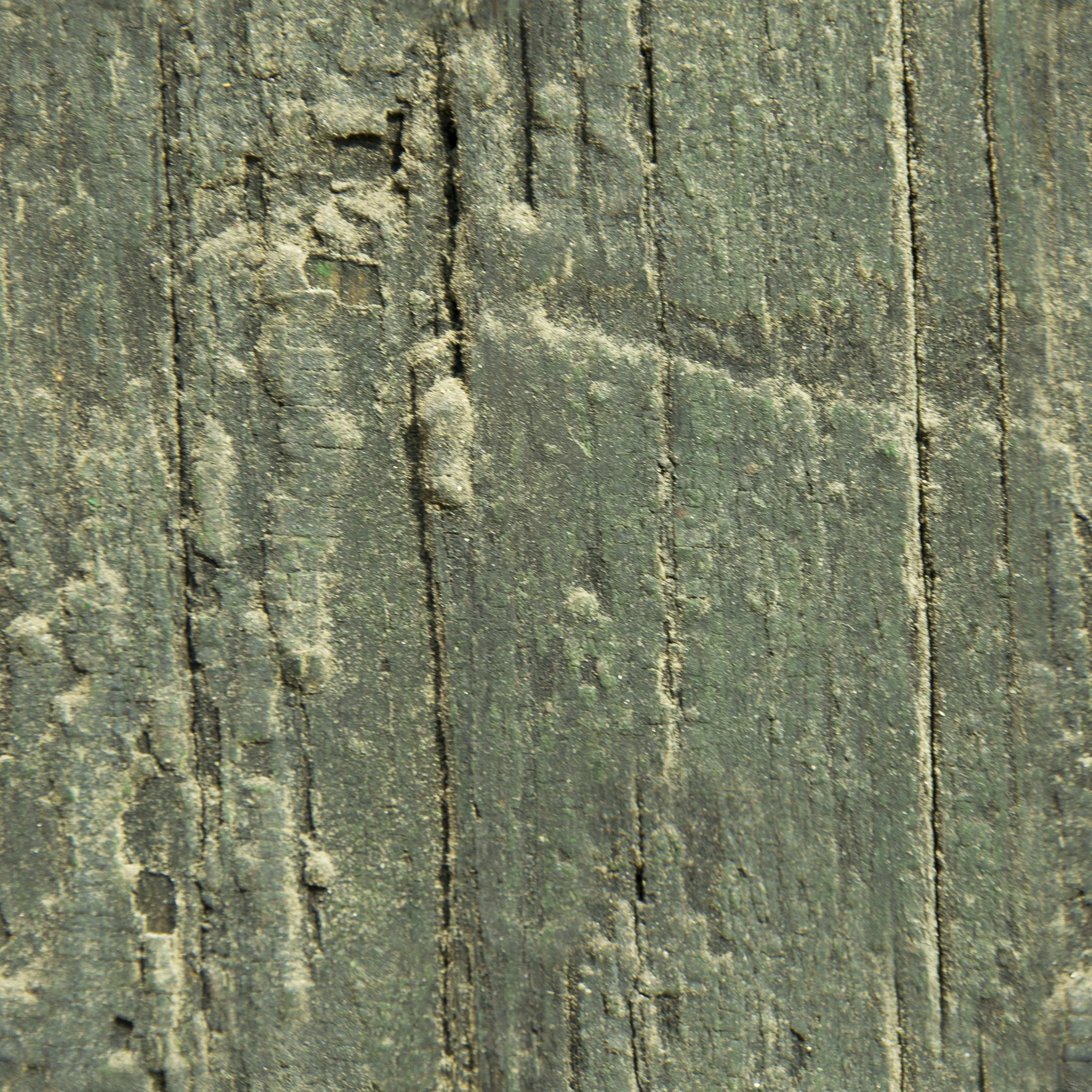 Antiquated Narra Wood.jpg