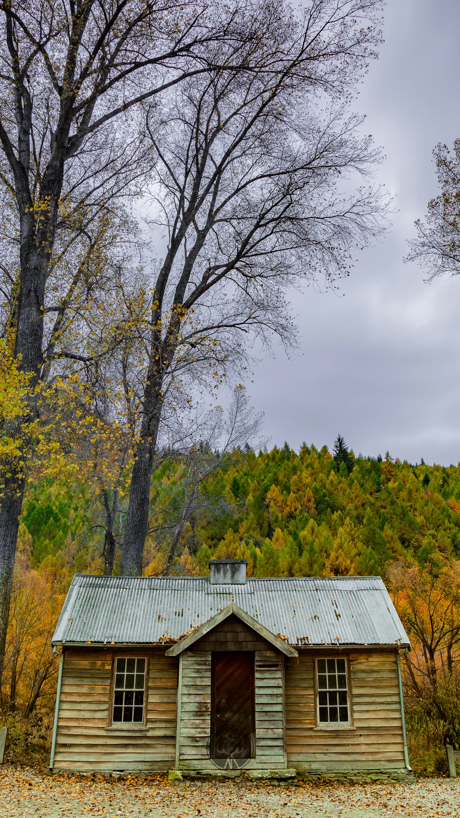 Shayne_Mostyn_Photography-5397.jpg