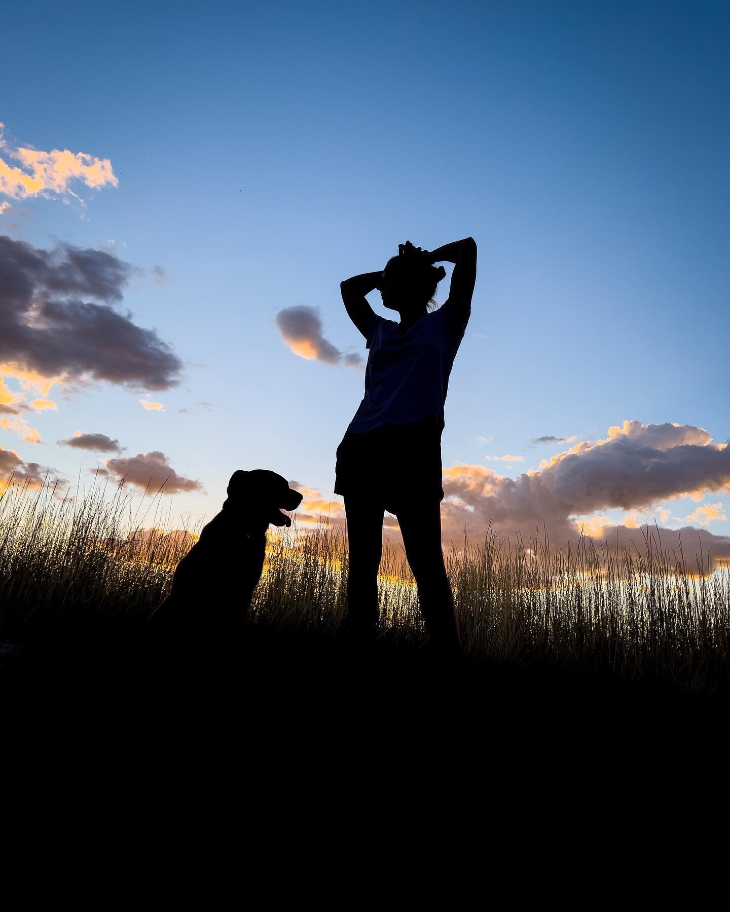 When you&rsquo;re taking the pooch for an evening walk. Sarah @windella_farm says don&rsquo;t take a photo of me, I&rsquo;m in my pyjamas (hey, that&rsquo;s how we roll)! So I say yeah it&rsquo;s ok, I have an idea. Subject selection tool in Lightroo