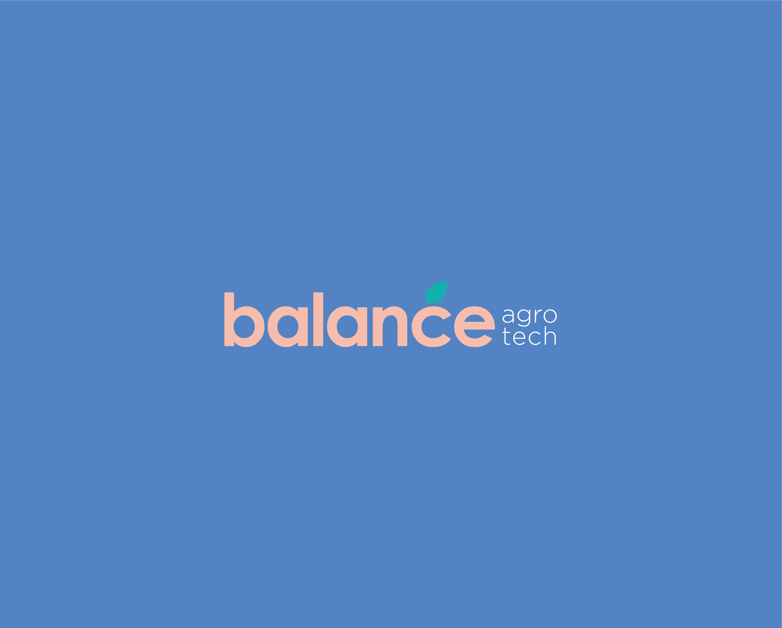 Balance-05.jpg