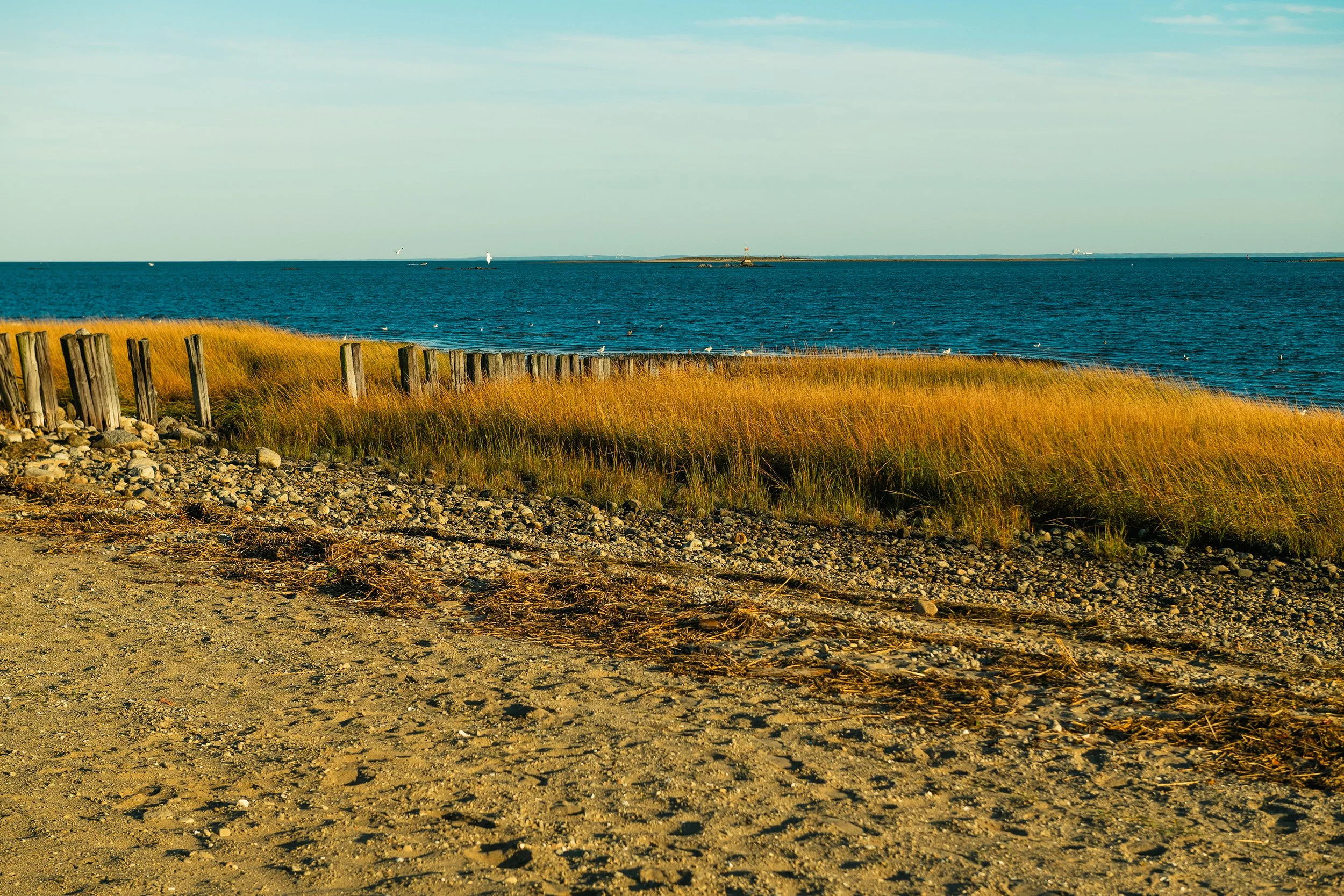 DSC_9210.jpg