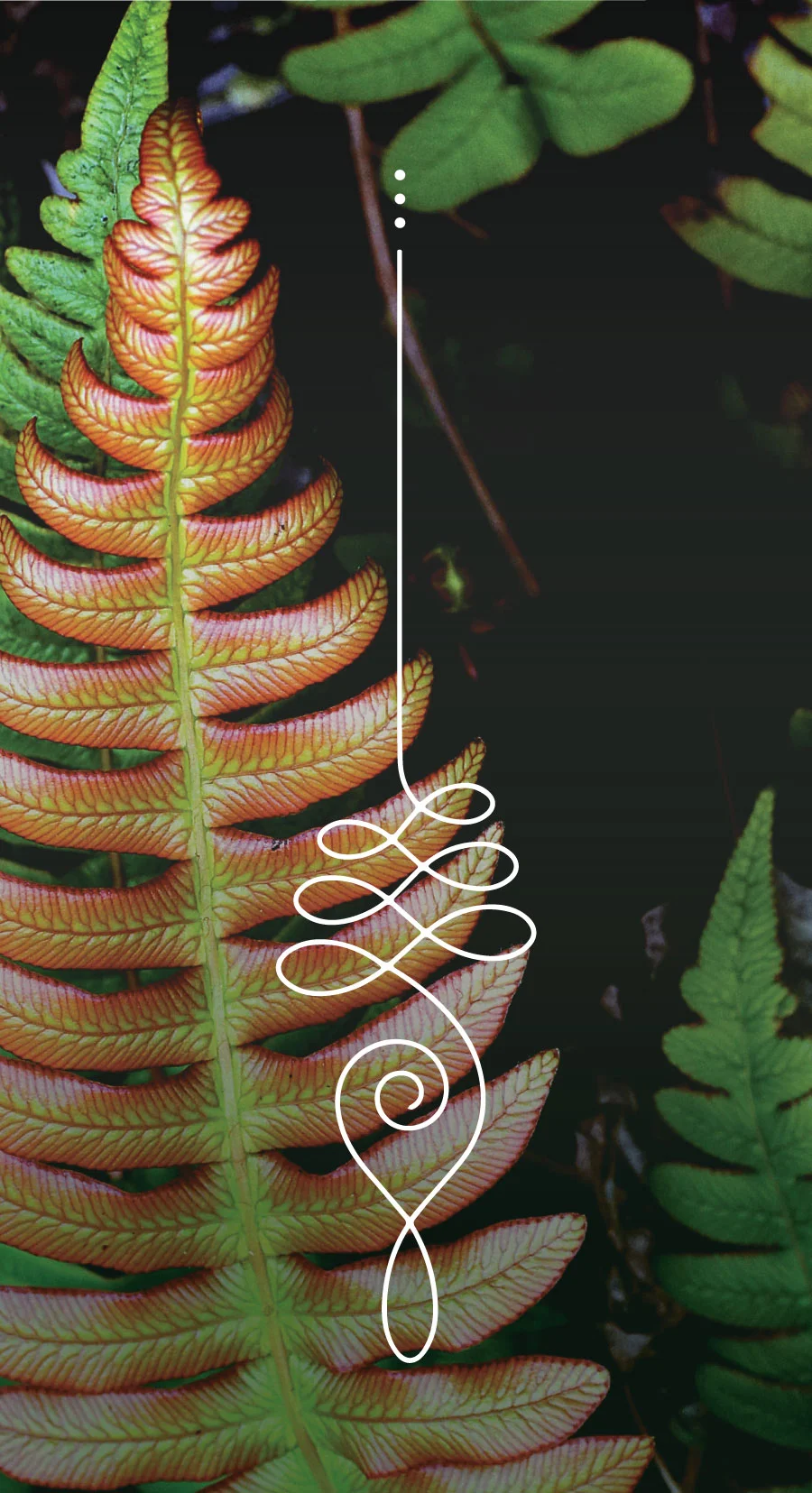 Flourish-7week-MediaKit-Graphics-2.jpg