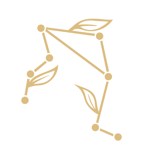 Updated-Icon-Constellation.png