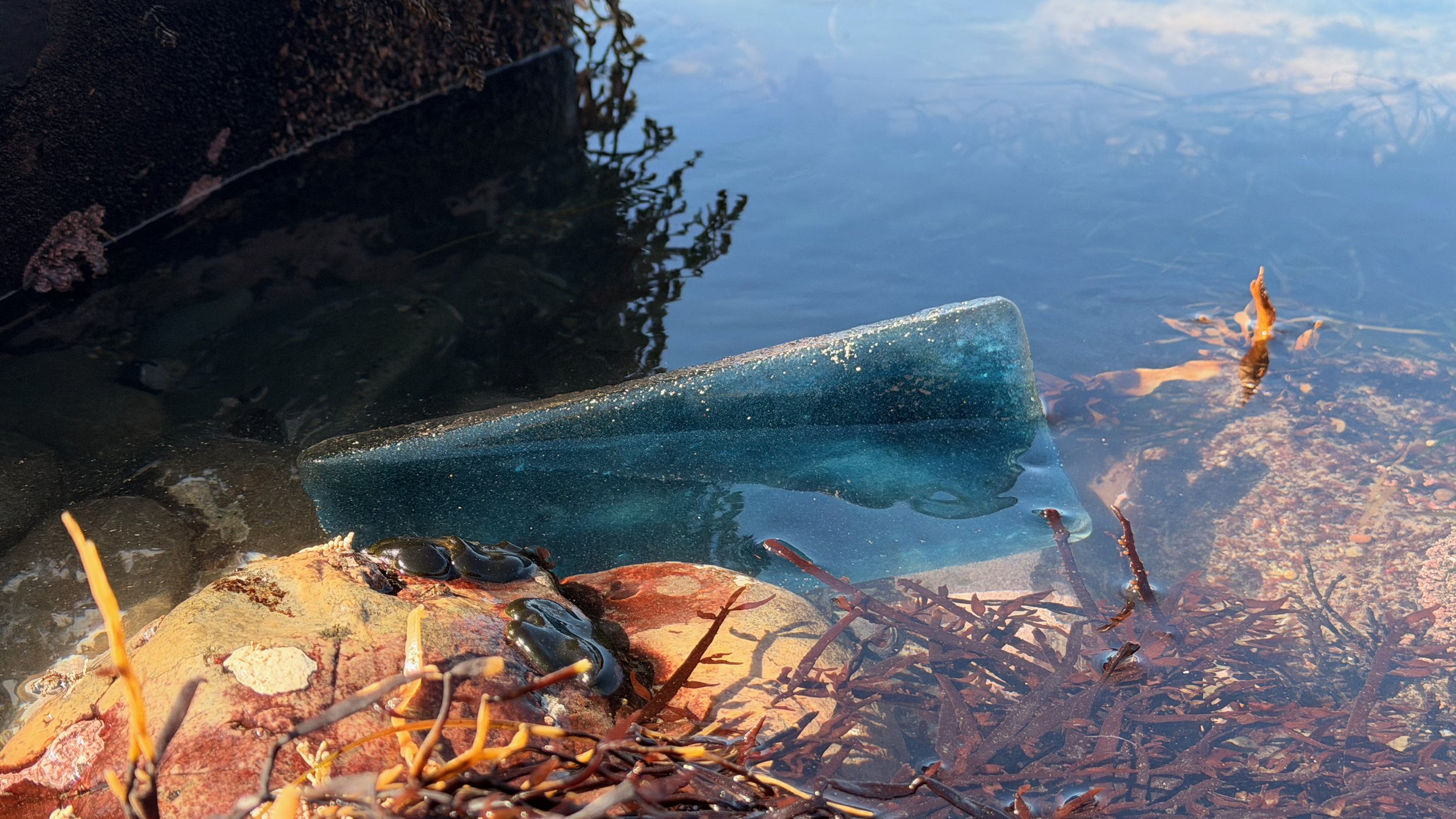 Vitrified Threshold (The Weight of Holding)