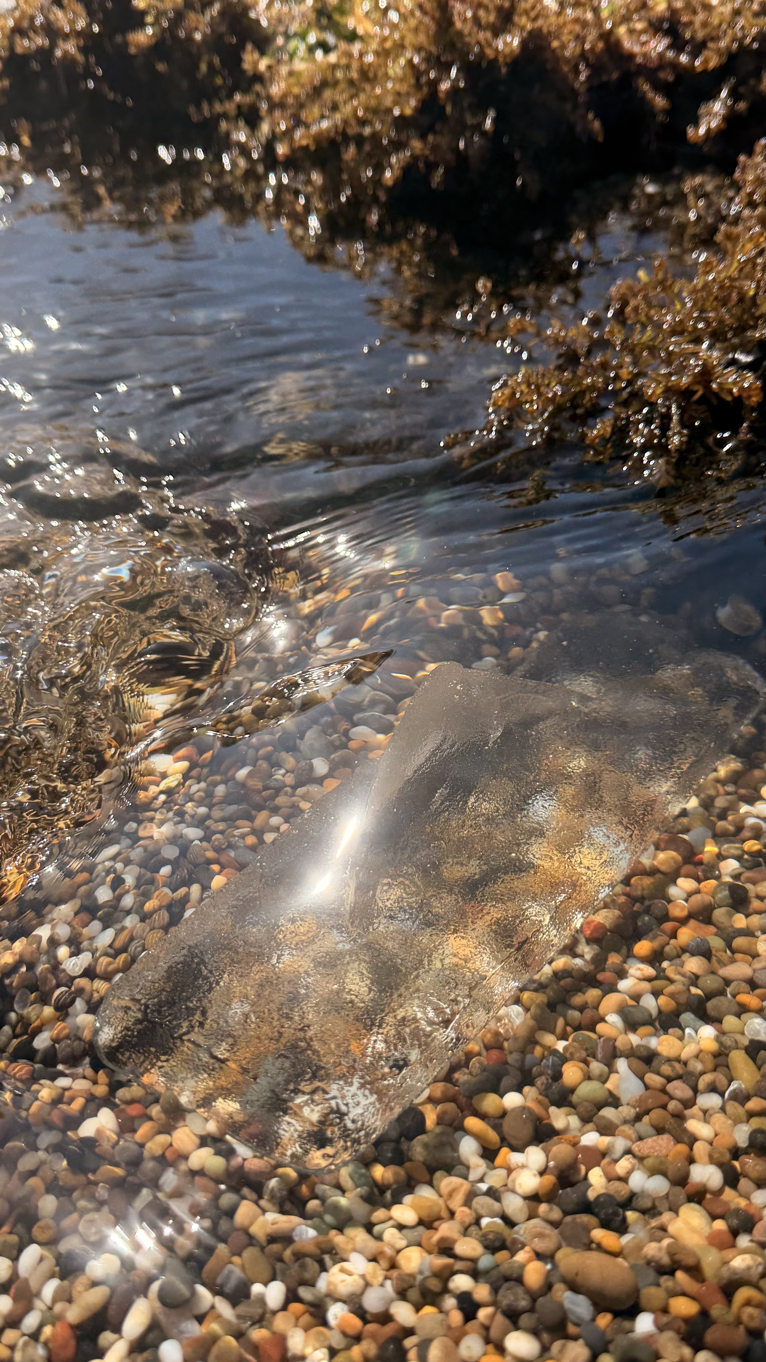 Vitrified Threshold (The Anchor)