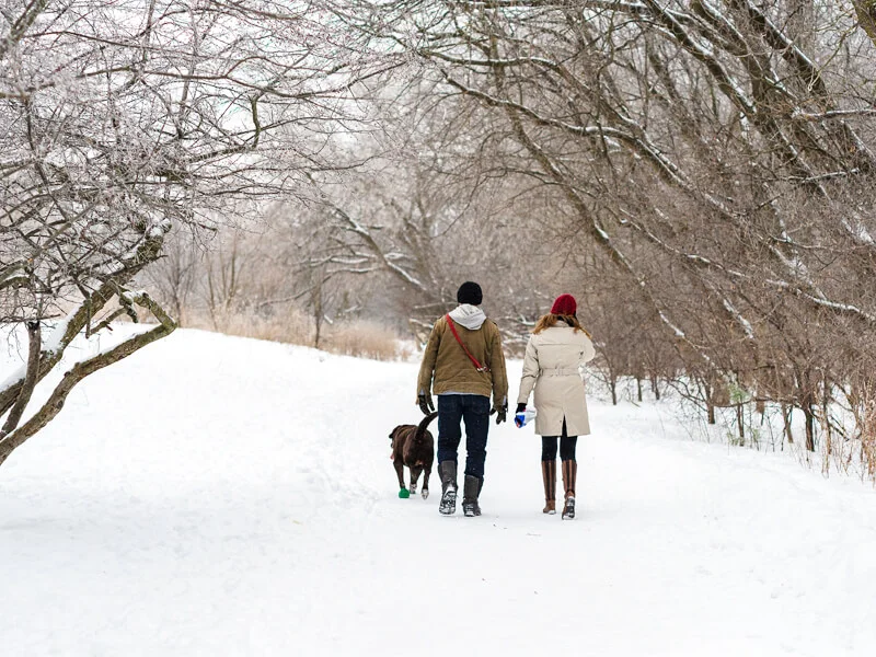 Guelph_winterwalk_800x600.jpg