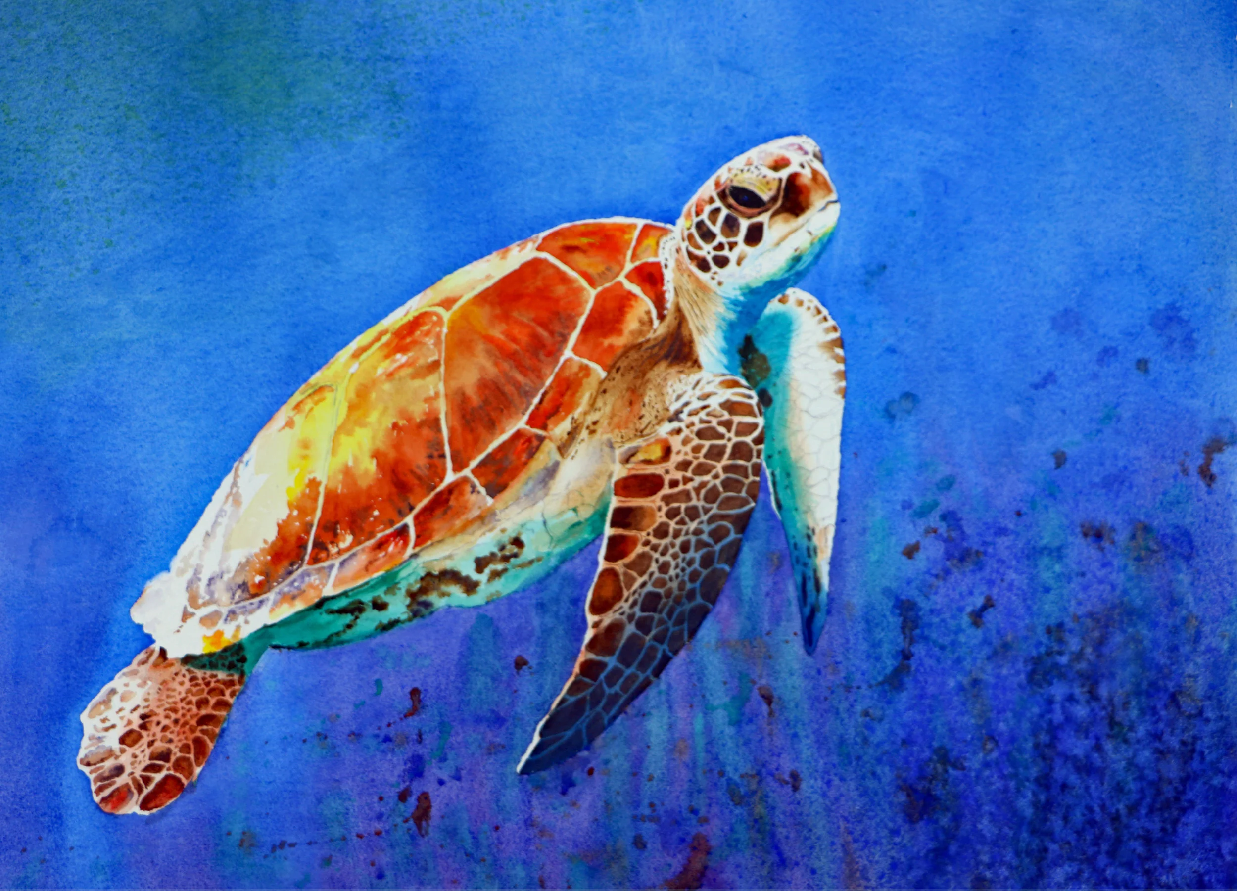 "Poseidon" - 22 x 30 inches - $450