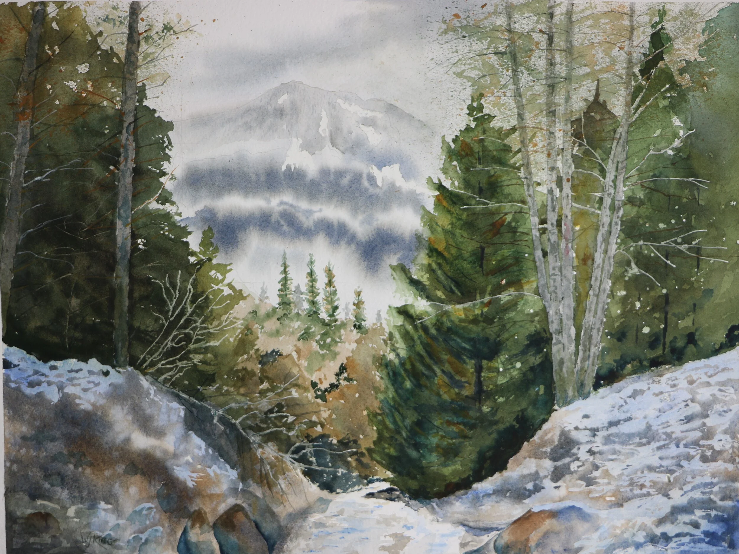 "Moutain Fog" - 14 X 20 inches - $400