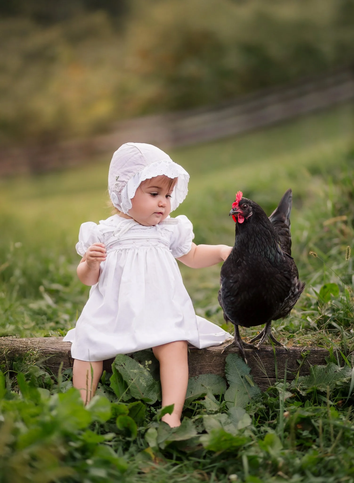 IMG_0351-Edit-Edit.jpg