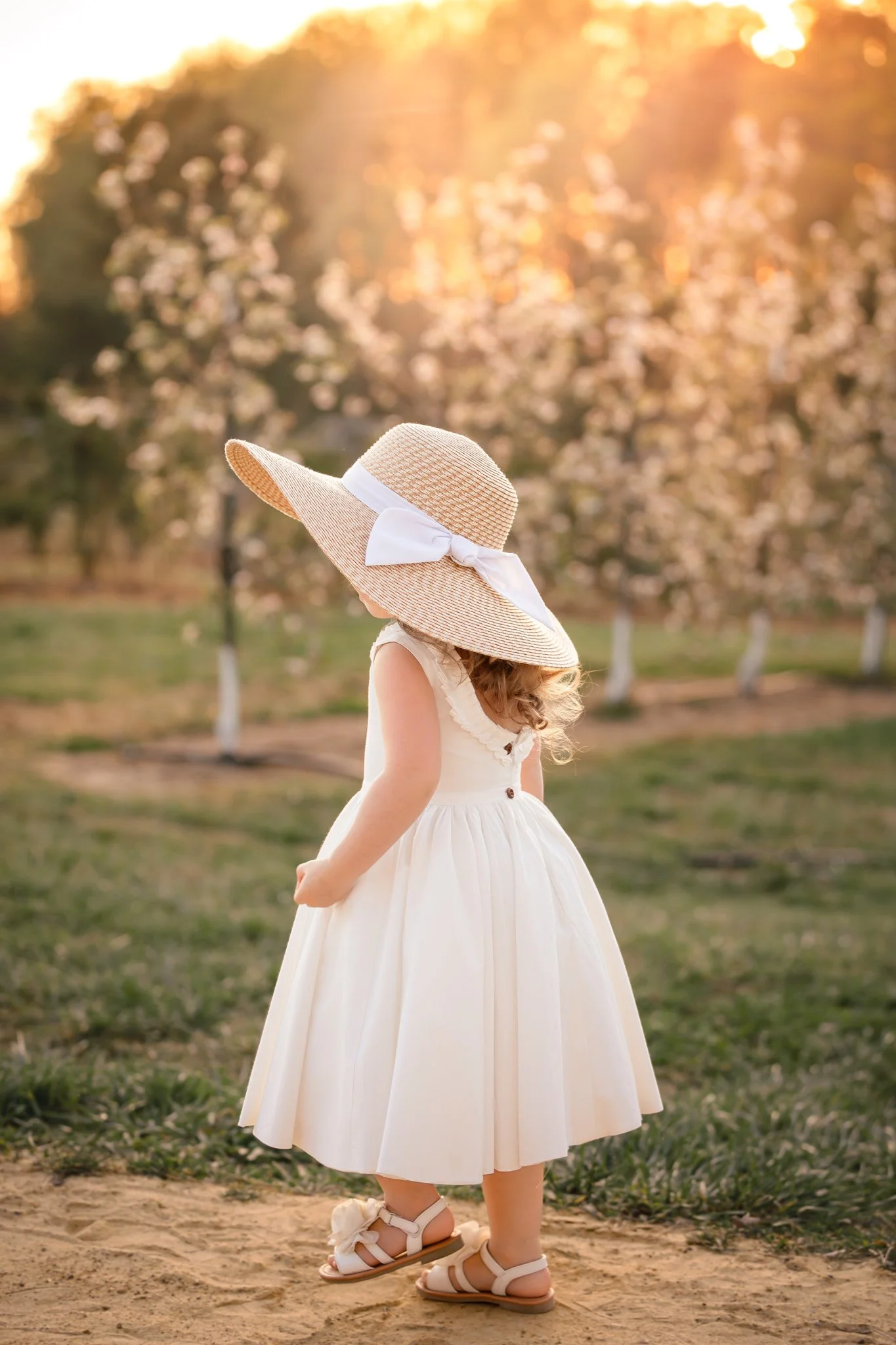 IMG_8403-Edit.jpg