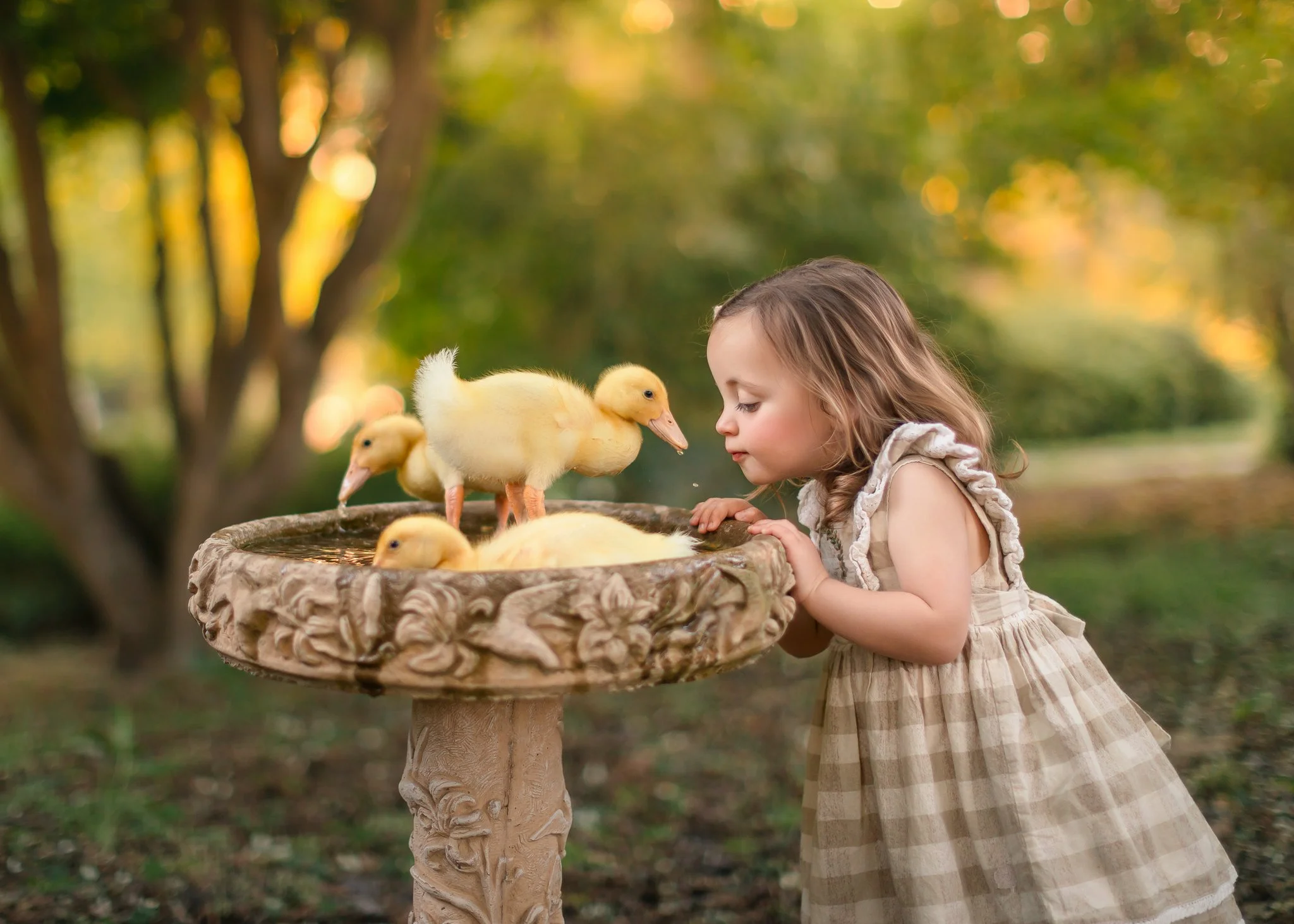 IMG_1408-Edit-Edit-Edit.jpg