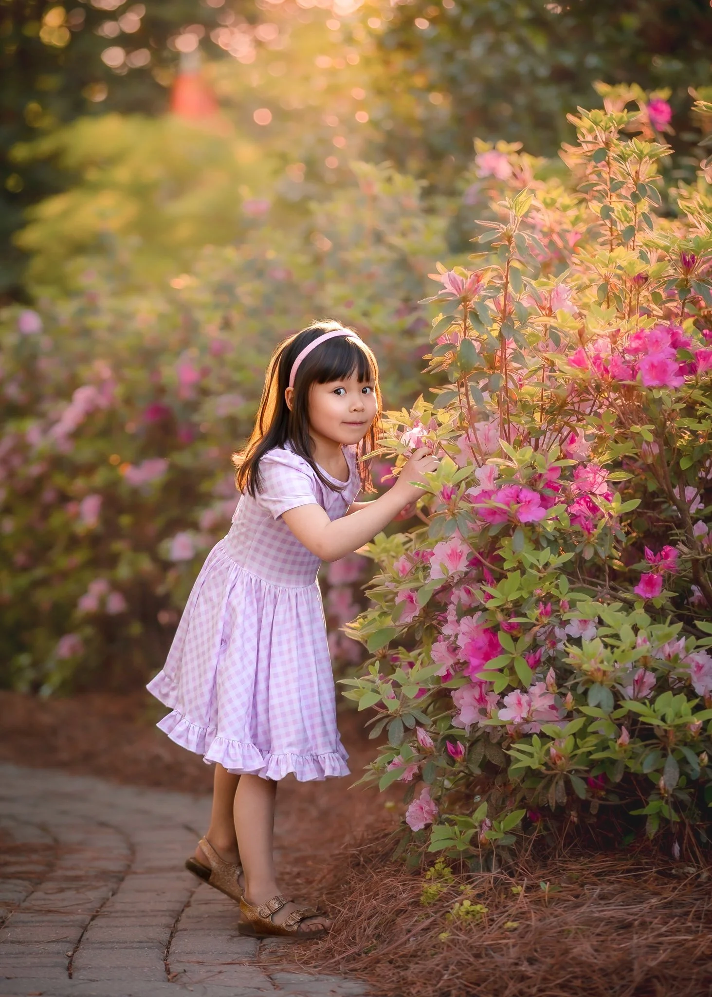 IMG_9438-Edit.jpg