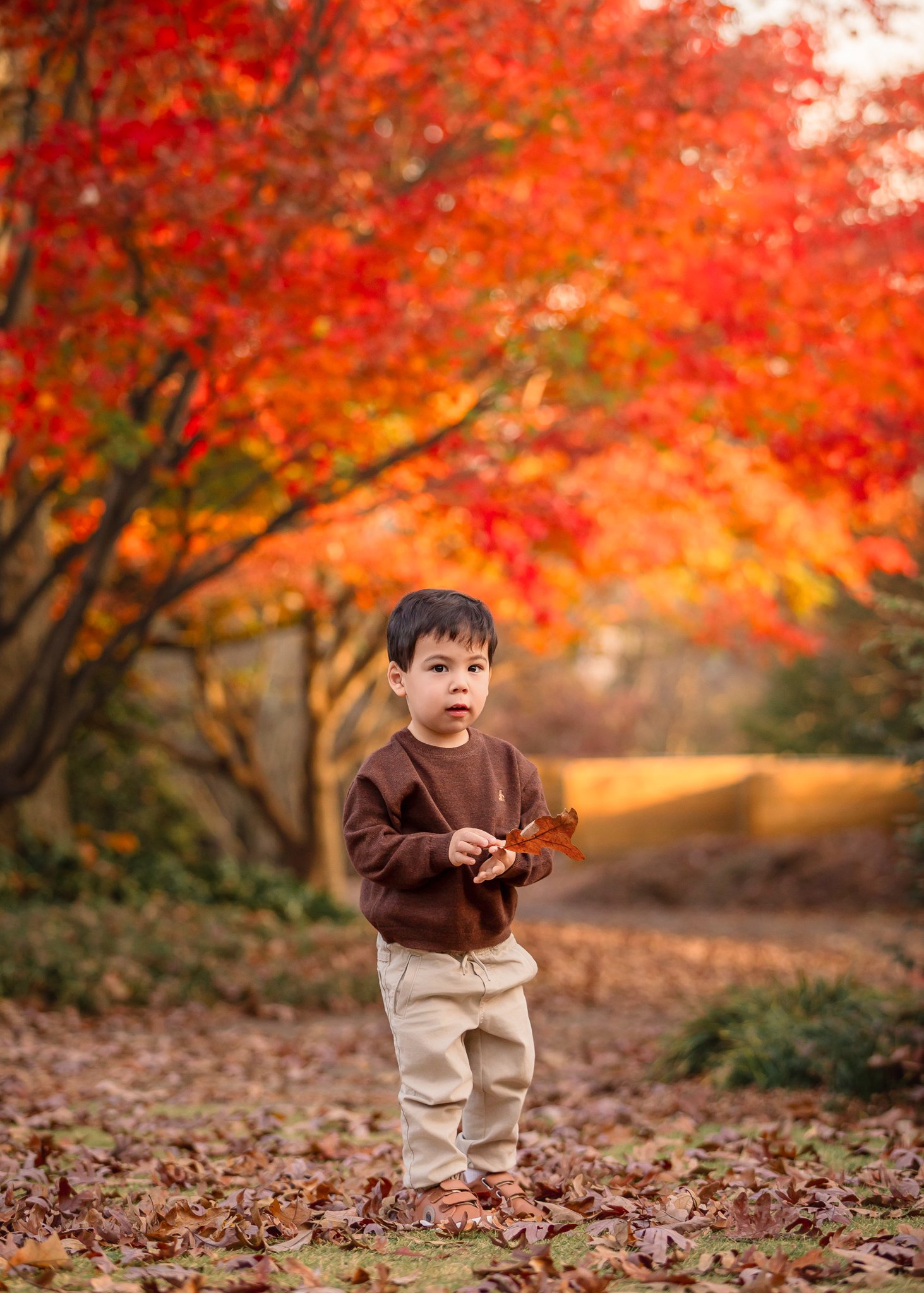 IMG_4726-Edit.jpg