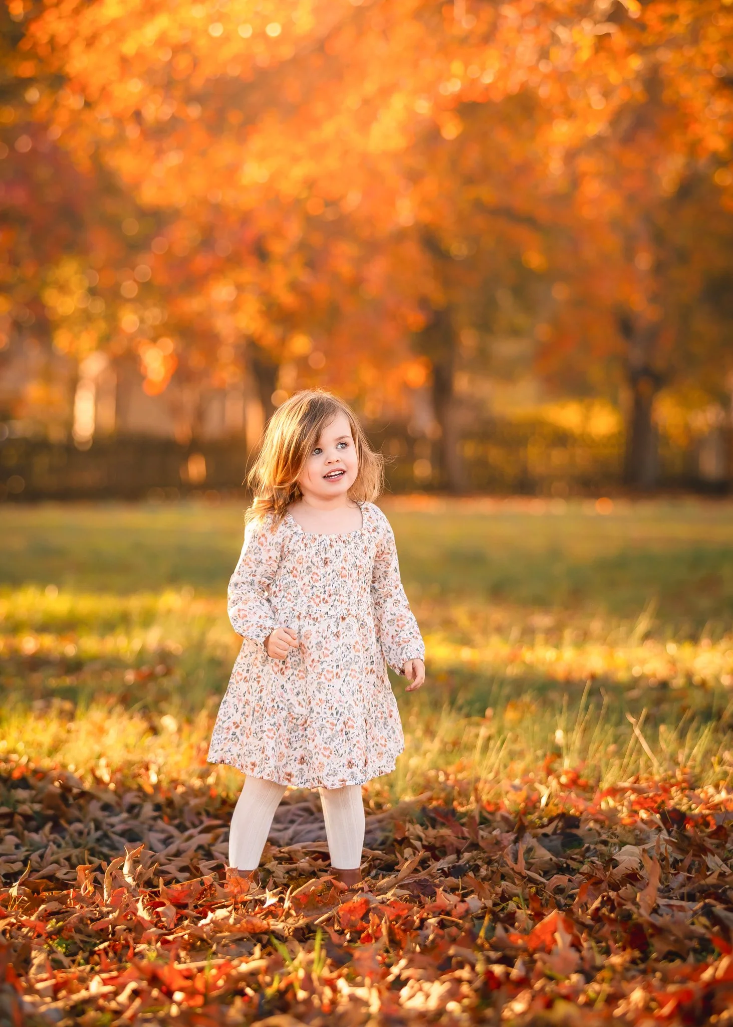 IMG_2154-Edit.jpg